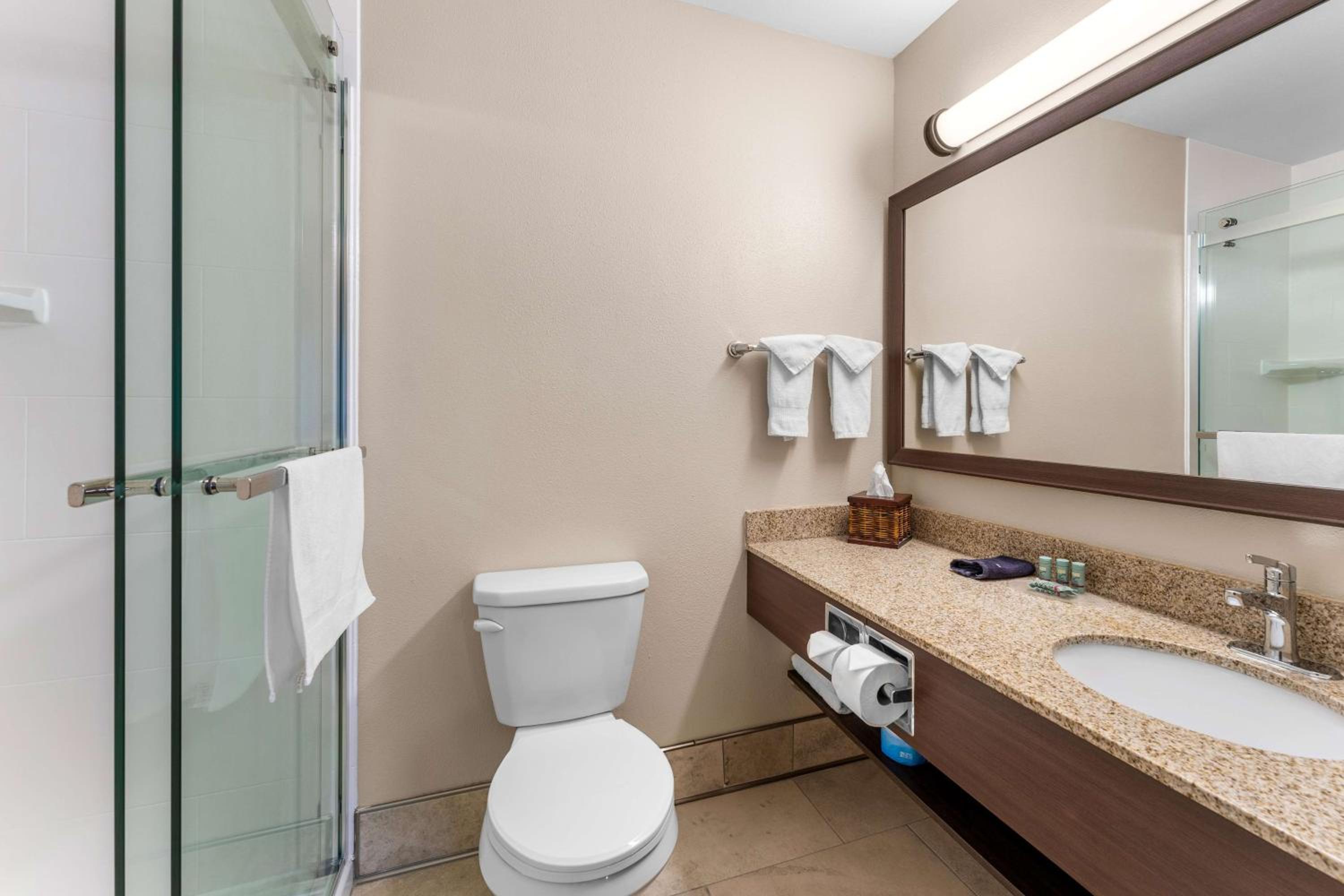 Queen Suite with Sofa Bed and Kitchenette - Non-Smoking - Photo 3