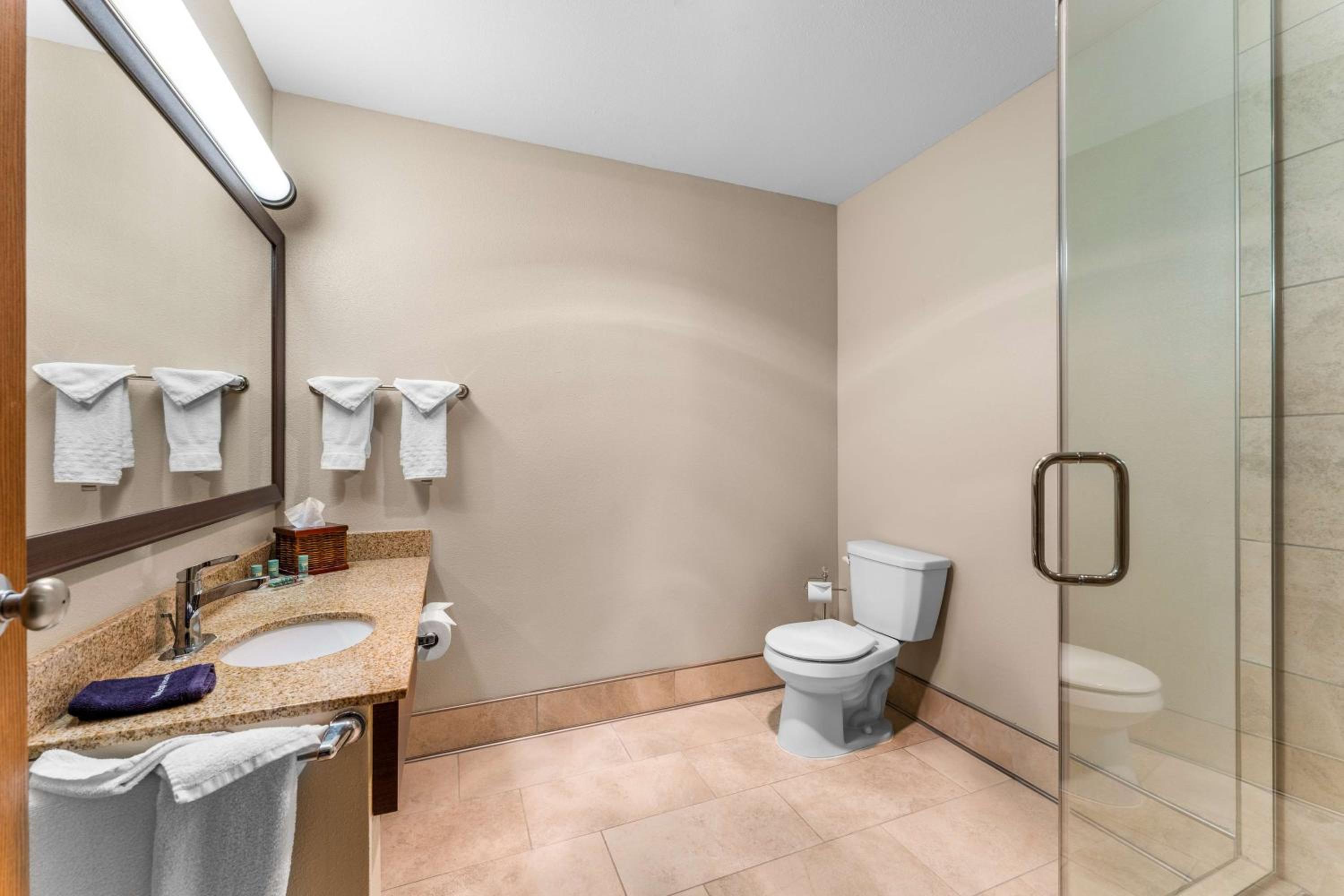 King Suite with Sofa Bed and Walk-In Shower - Non-Smoking - Photo 2