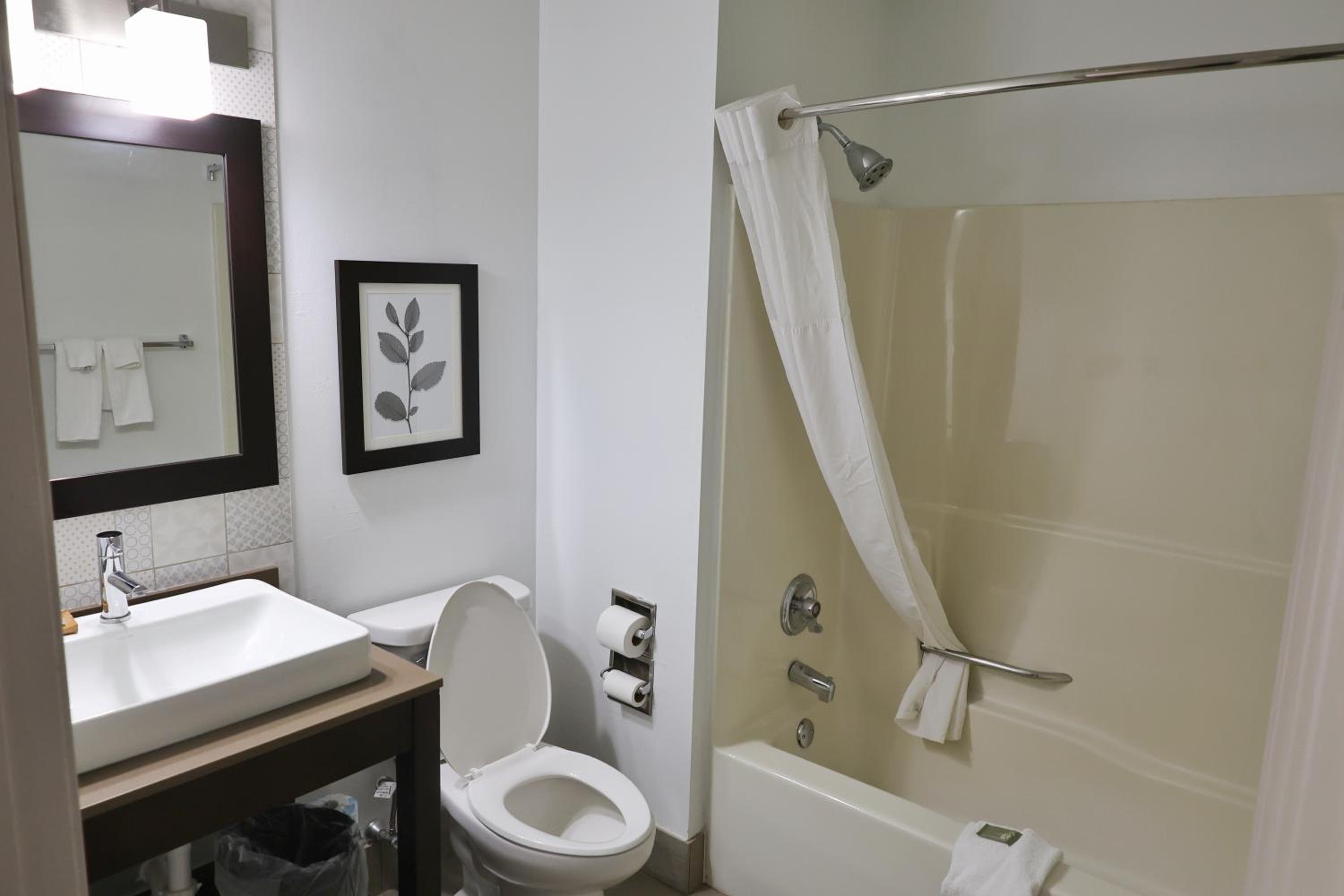 King Suite photo 2