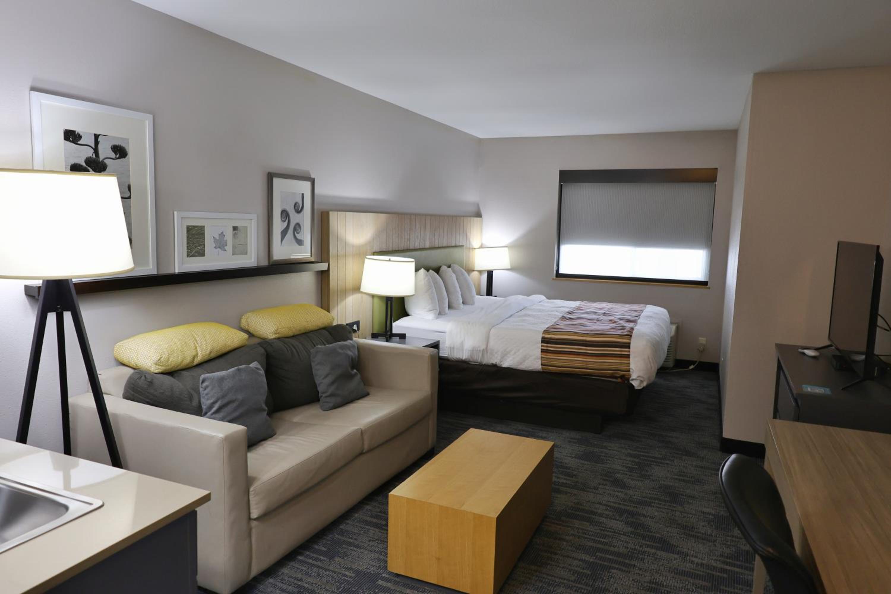 King Room - Pet Friendly/Non-Smoking