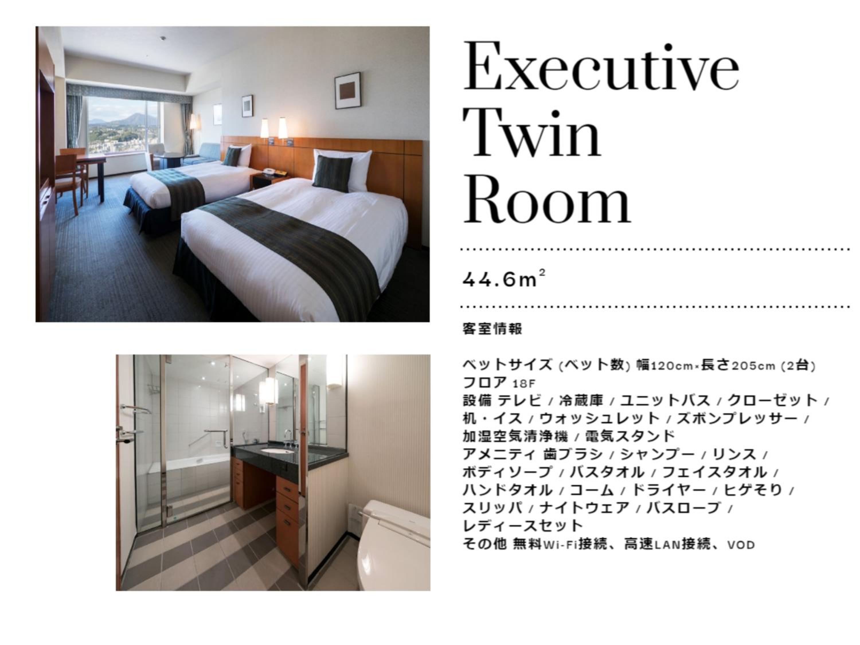 Executive Twin Room - Non-Smoking