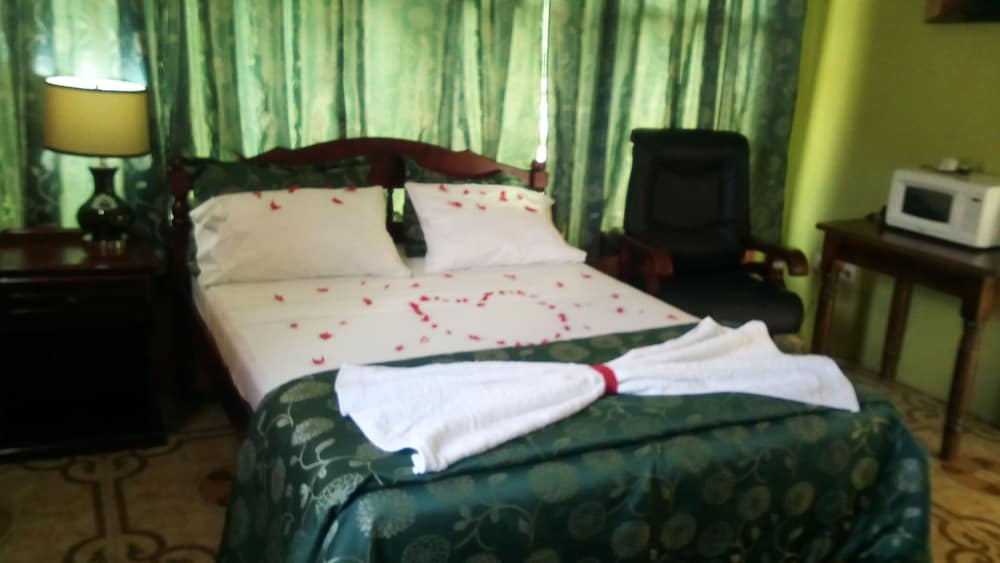 Room, 1 Queen Bed photo 2