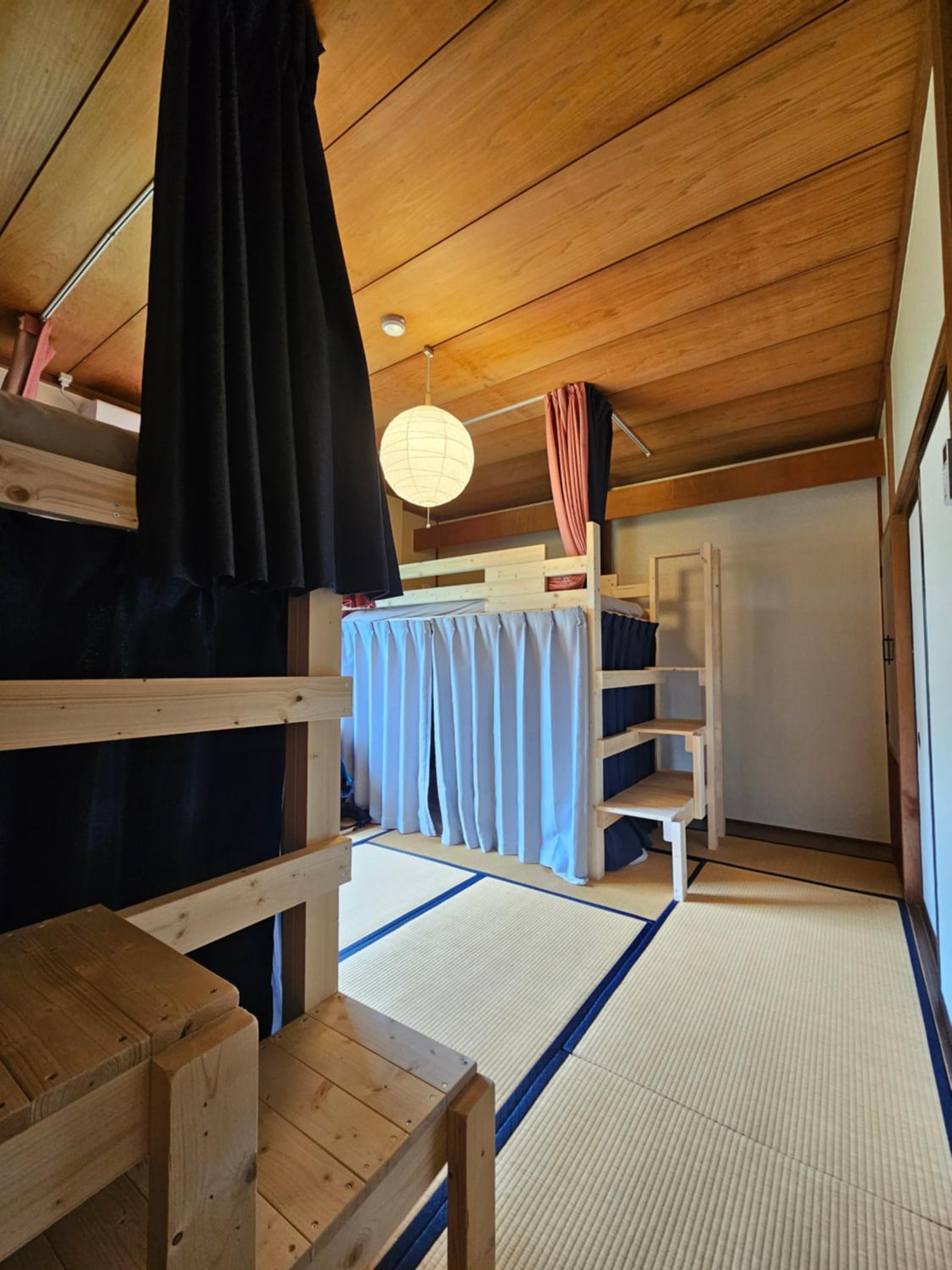 Bunk Bed in Mixed Dormitory Room photo 3