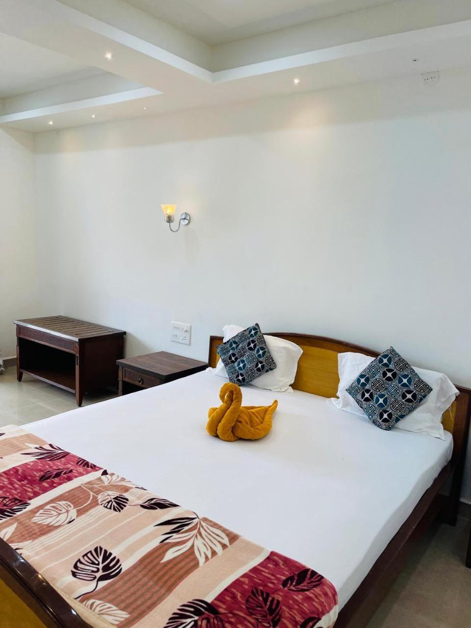 Double Room photo 3