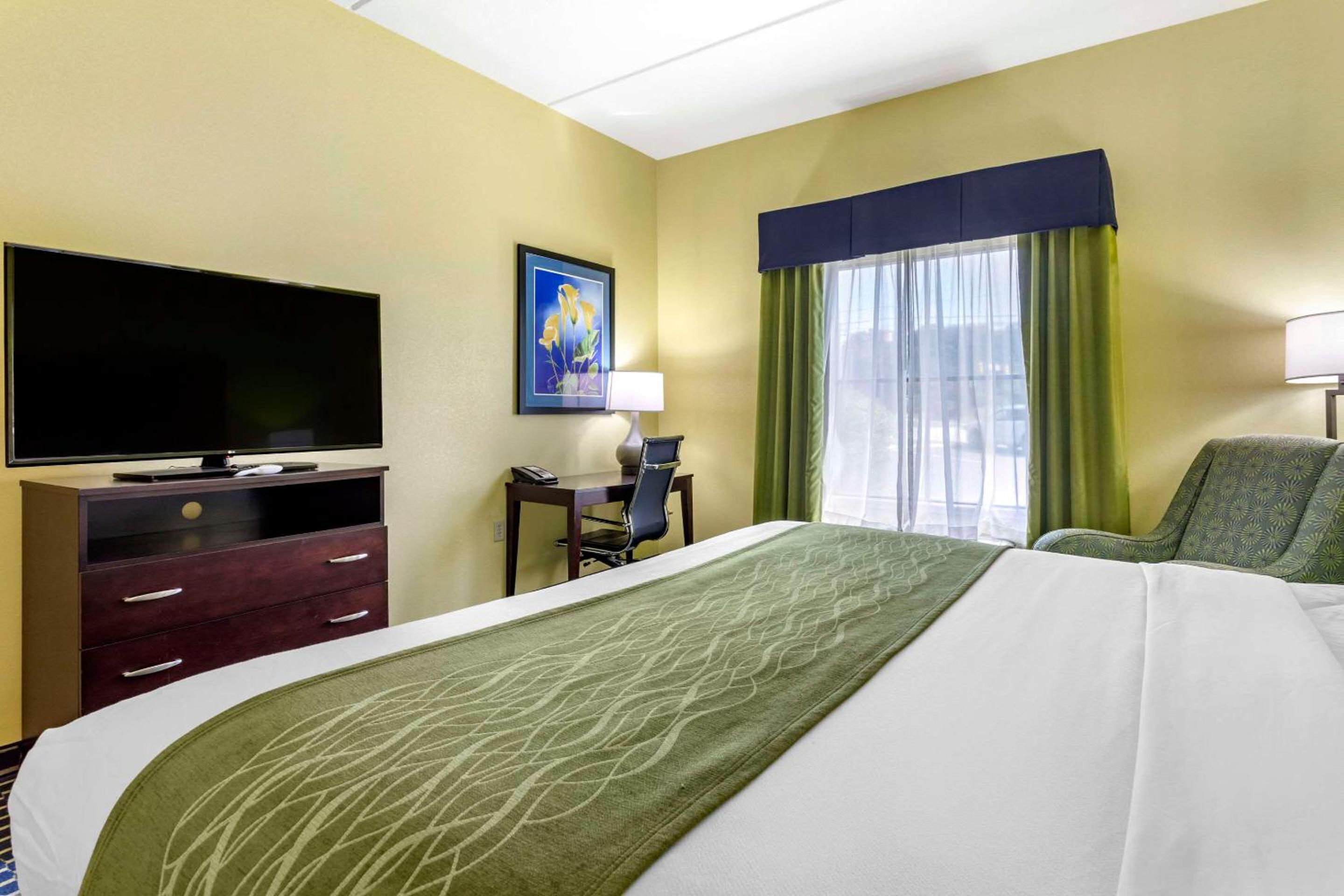 King Suite - Non-Smoking - Photo 1