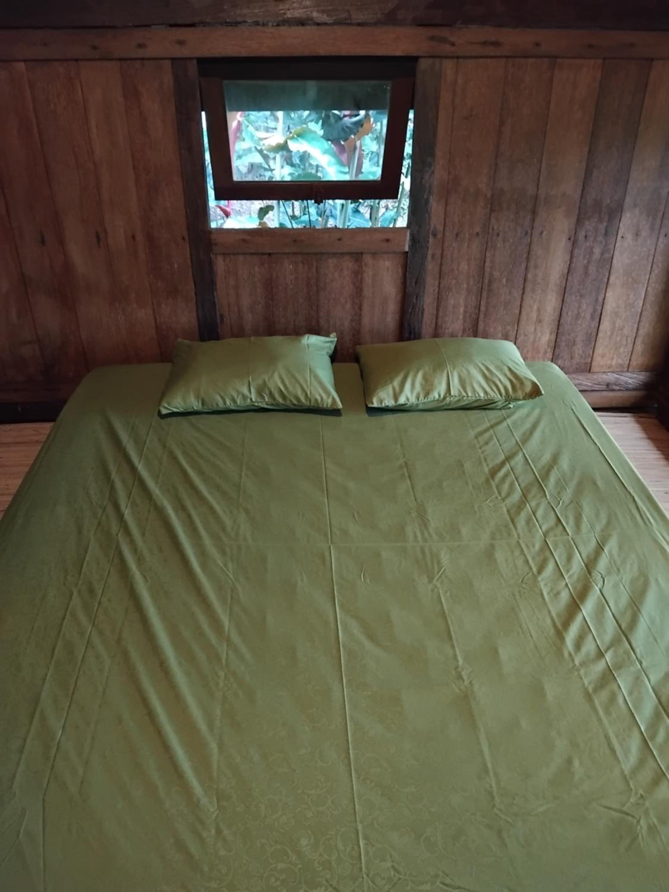 Deluxe Room photo 1
