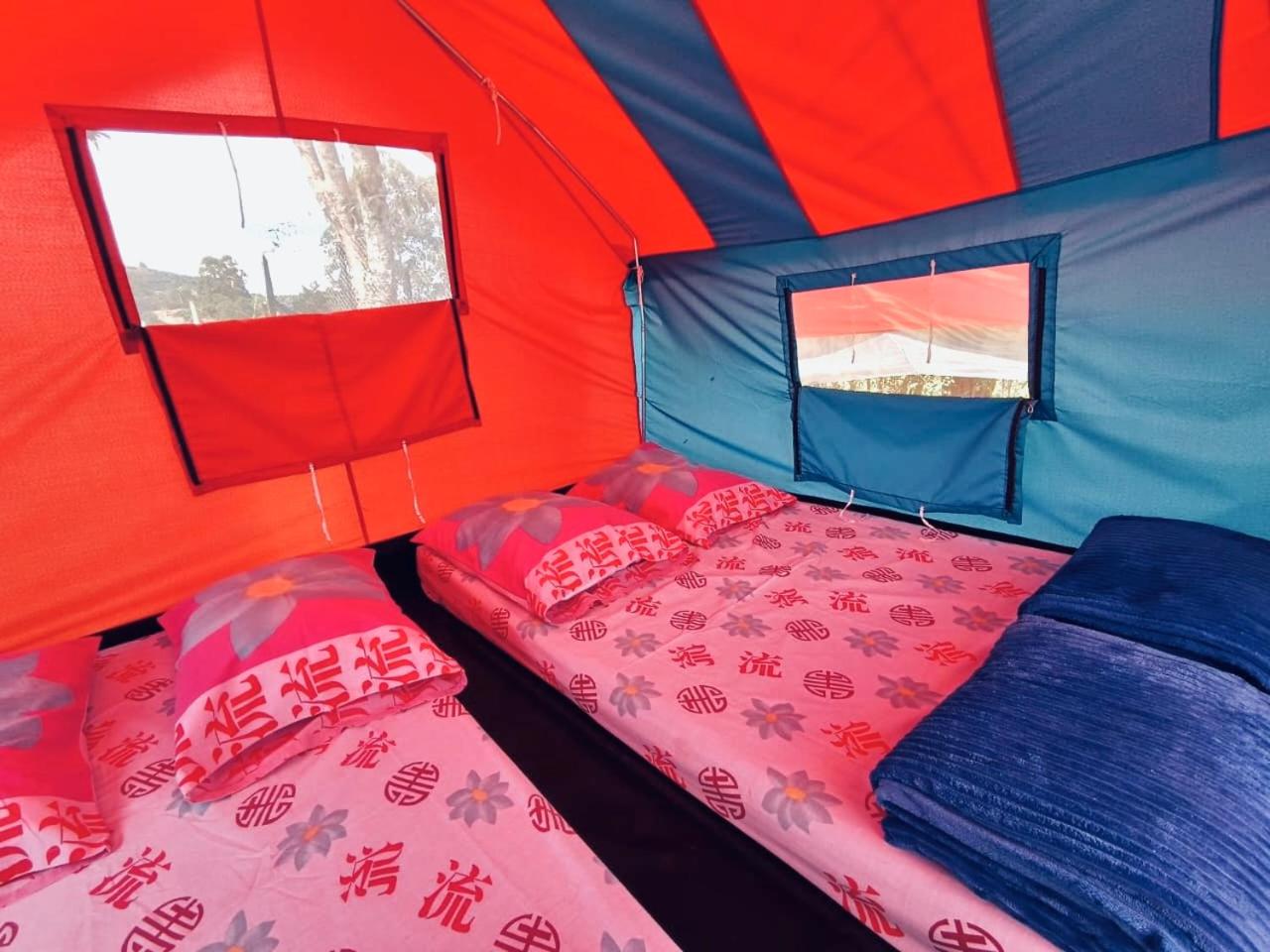 Tent photo 1