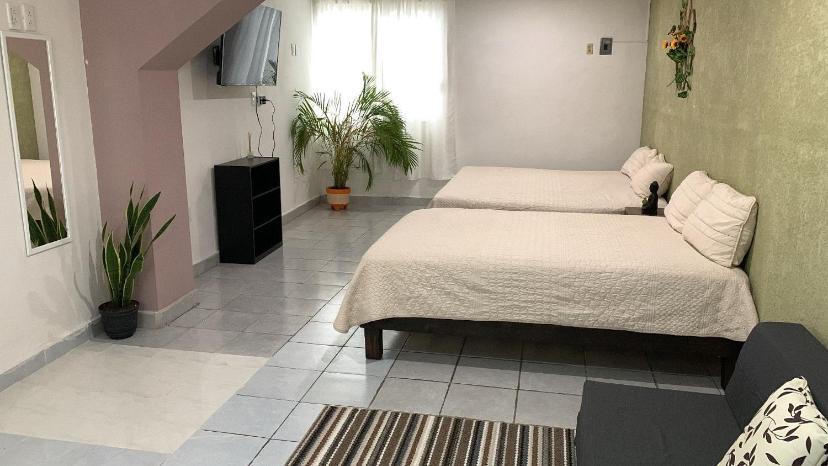 Standard Triple Room - Photo 1