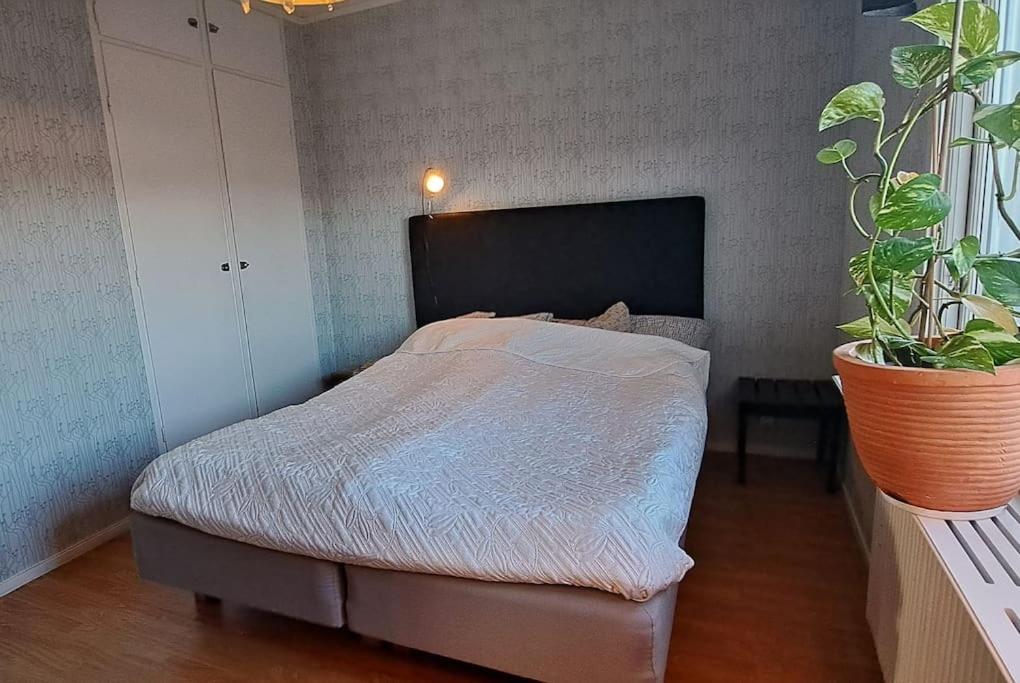 Three-Bedroom Villa photo 1