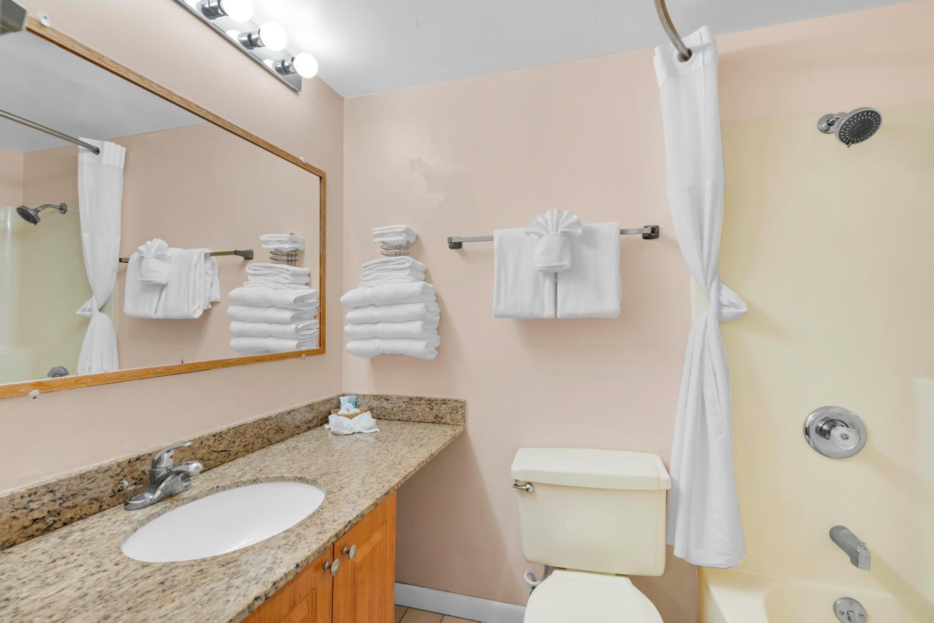 One-Bedroom Suite photo 2