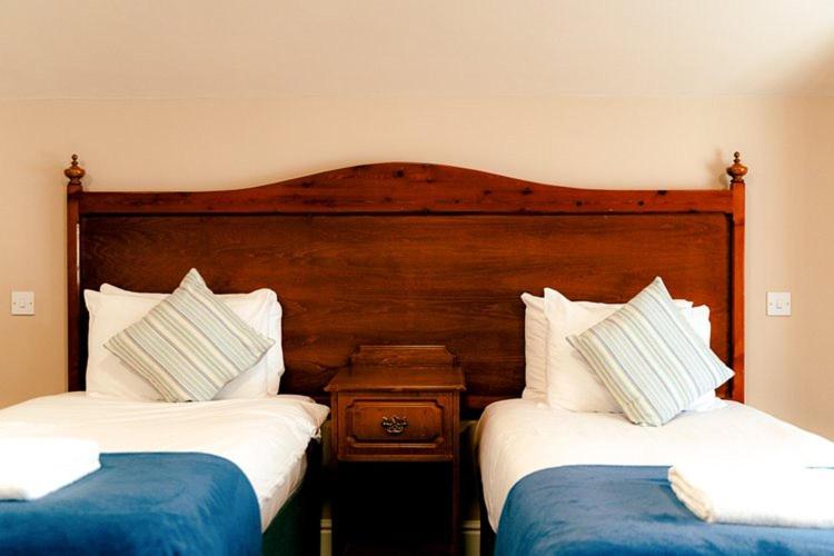 Twin Room photo 2