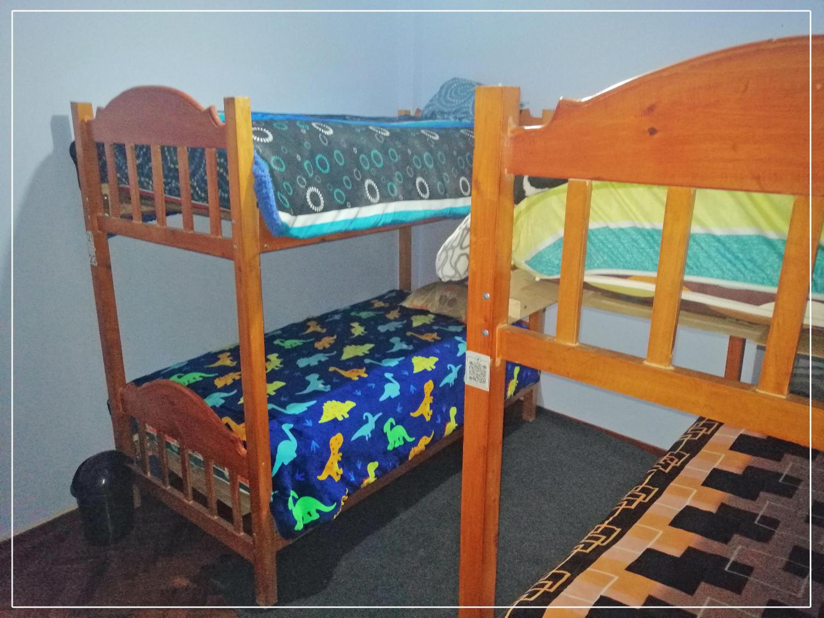Bunk Bed in Mixed Dormitory Room photo 3