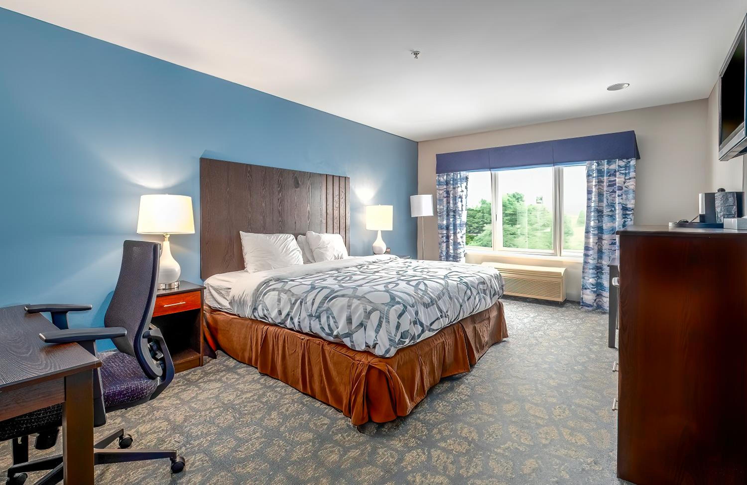 King Room photo 3