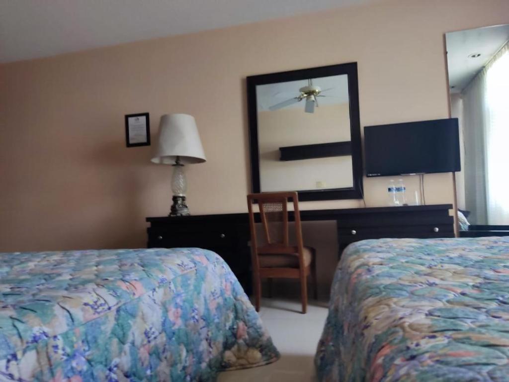 Economy Twin Room photo 1