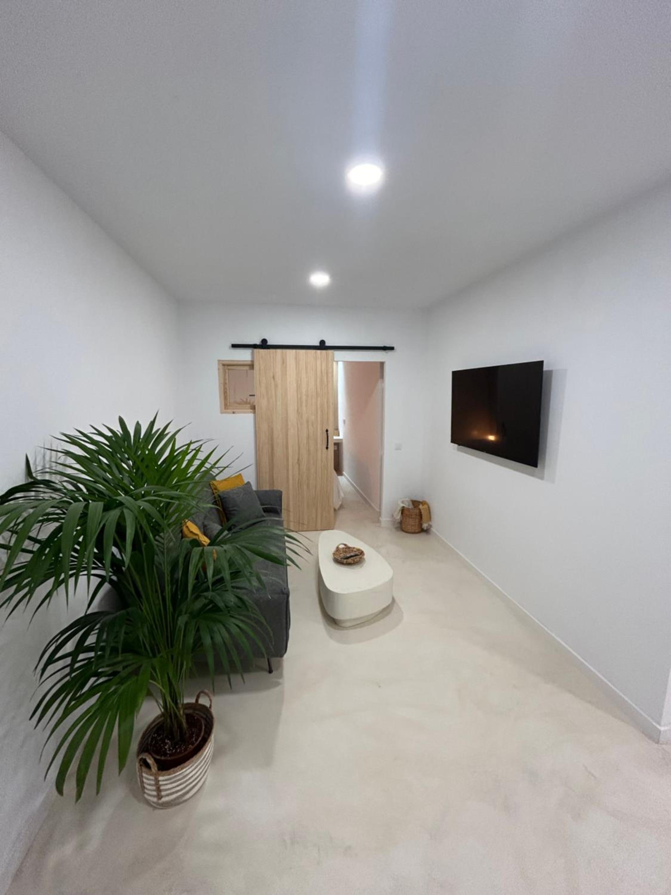 One-Bedroom Apartment photo 2