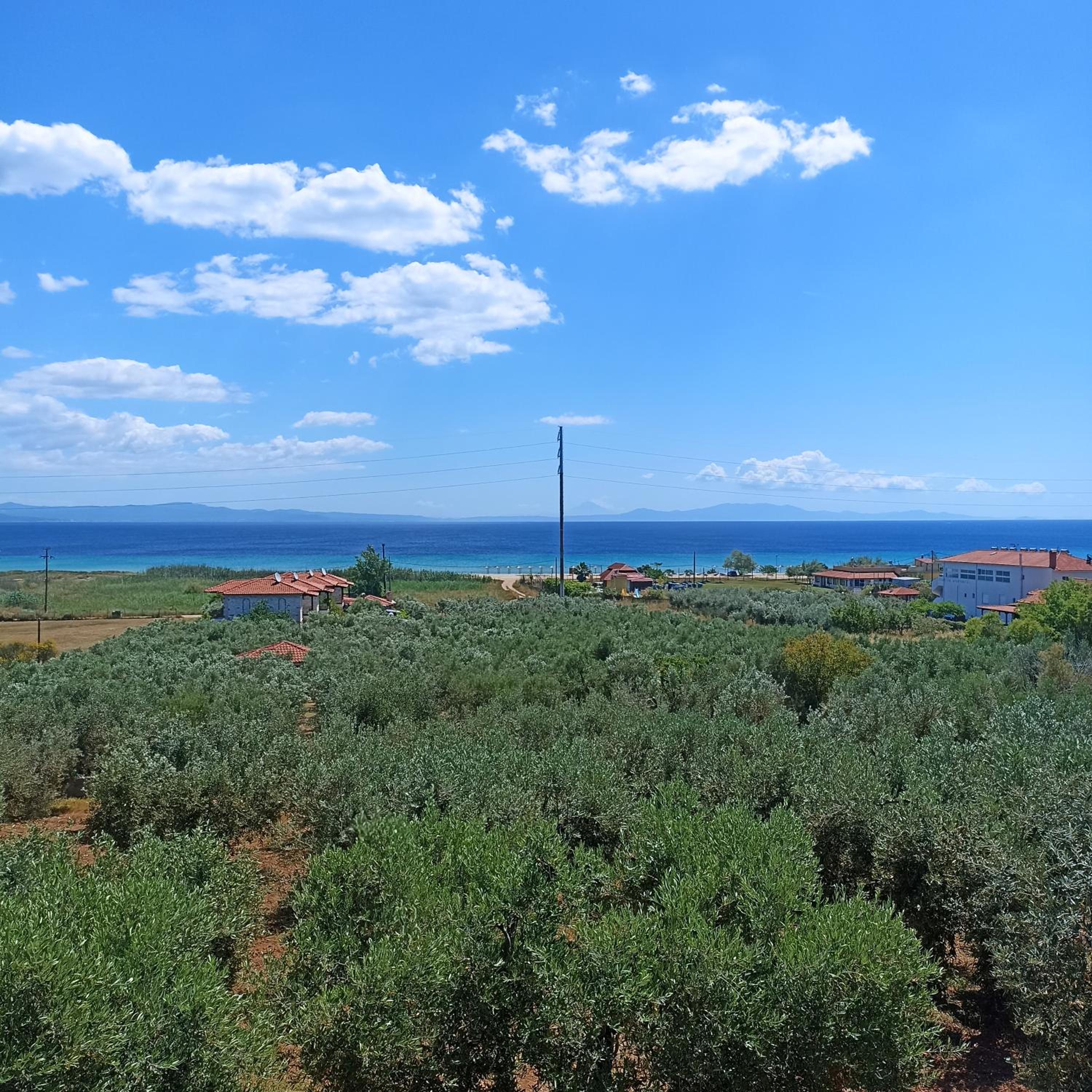 Two-Bedroom Apartment with Partial Ocean View photo 3