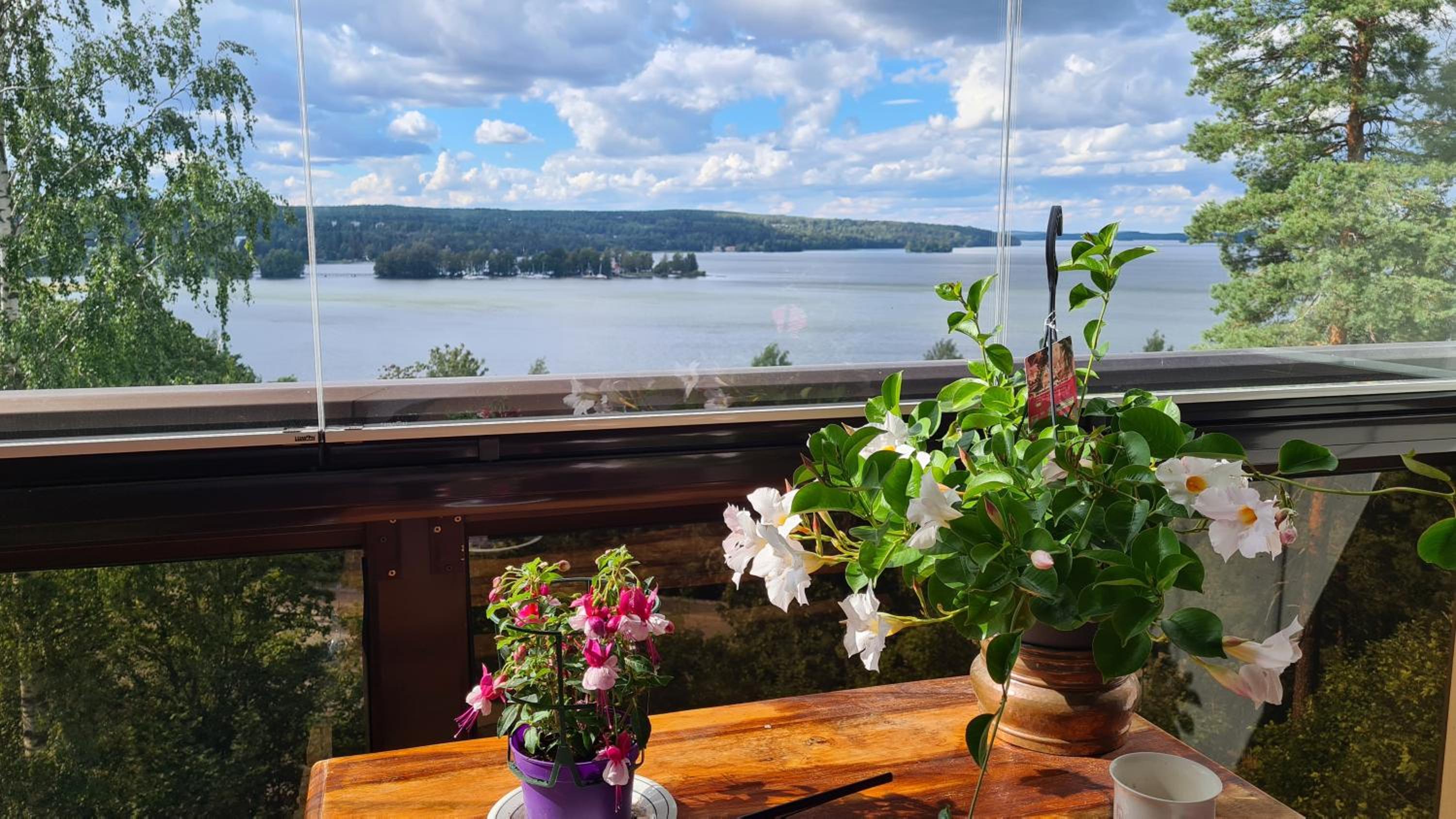 Three-Bedroom Apartment with Lake View photo 3
