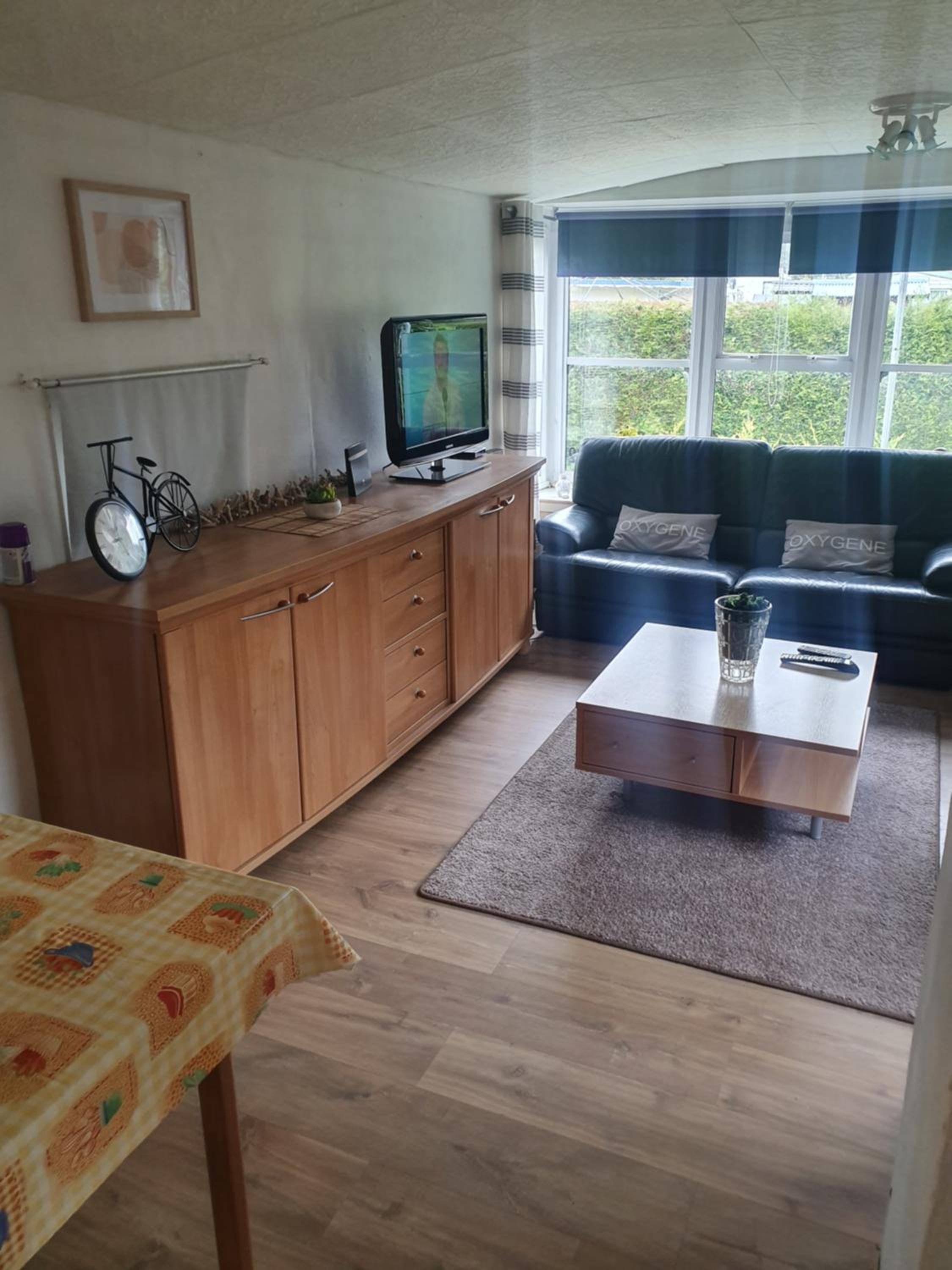 Mobile Home photo 3