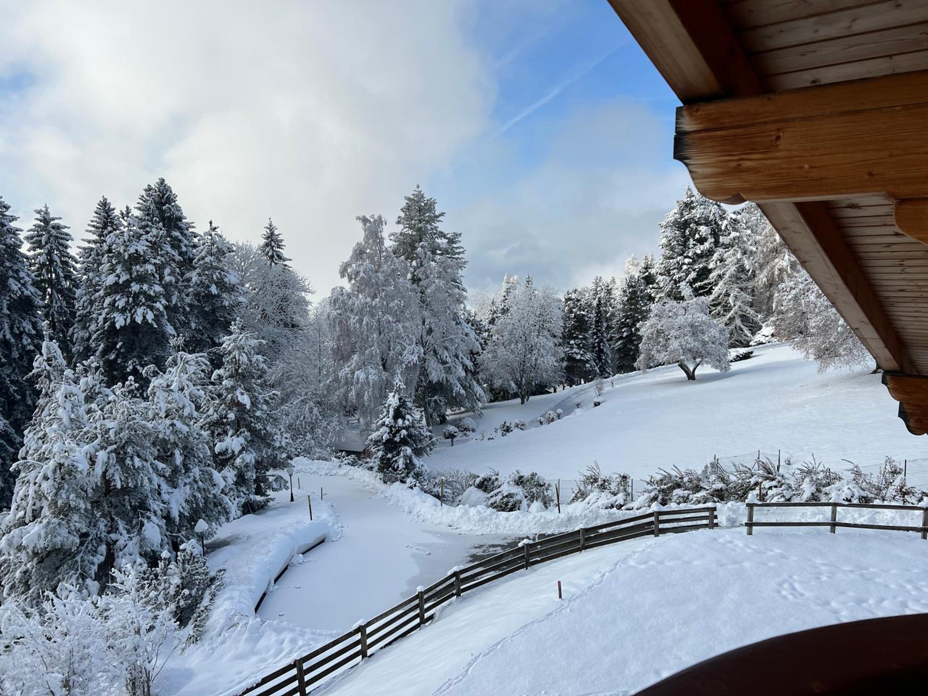 Superior Chalet photo 3