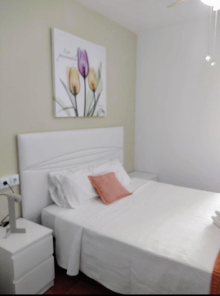 Family Room With Private Bathroom photo 2