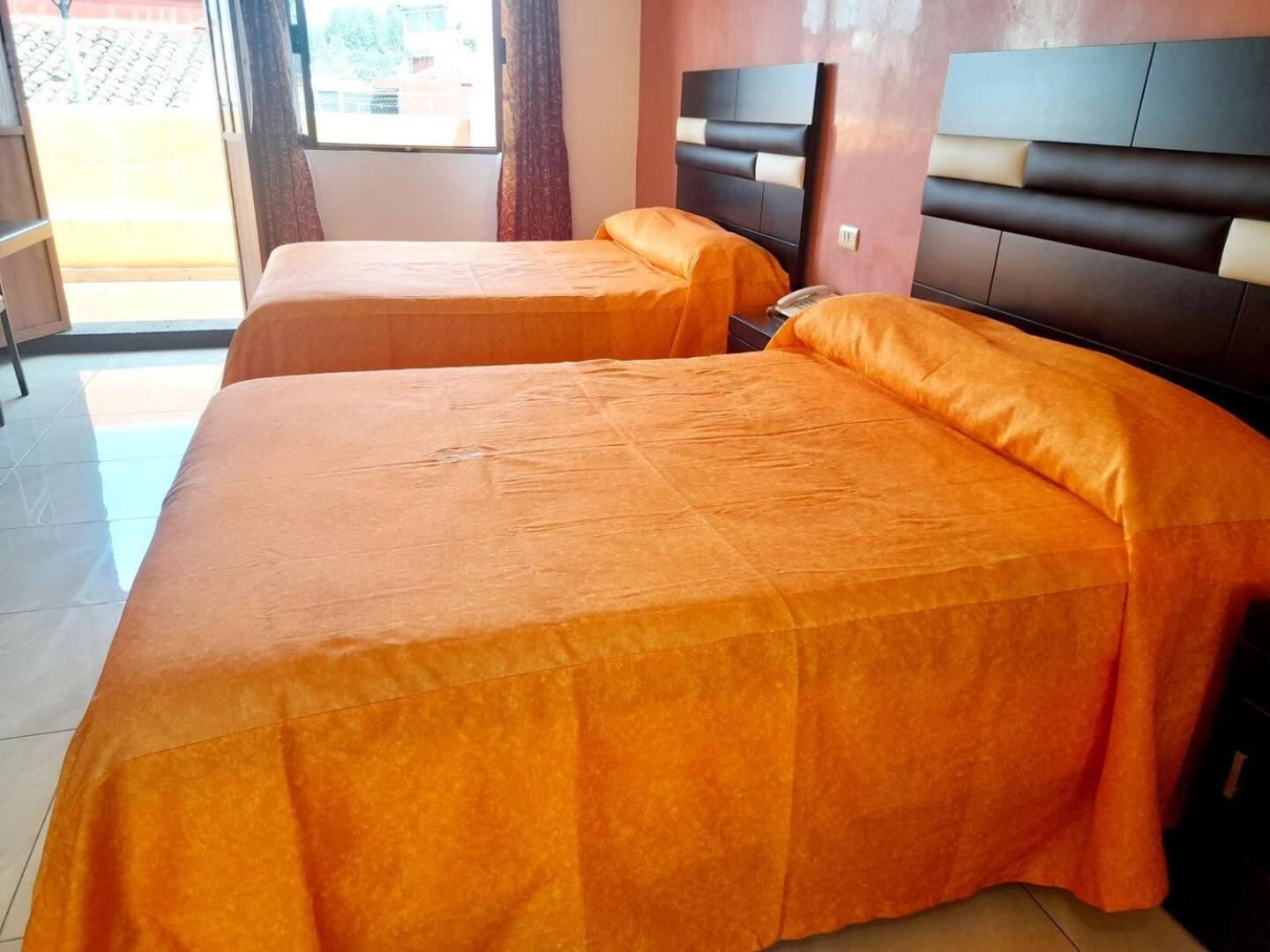 Twin Room photo 2