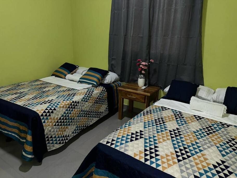 One-Bedroom House photo 3
