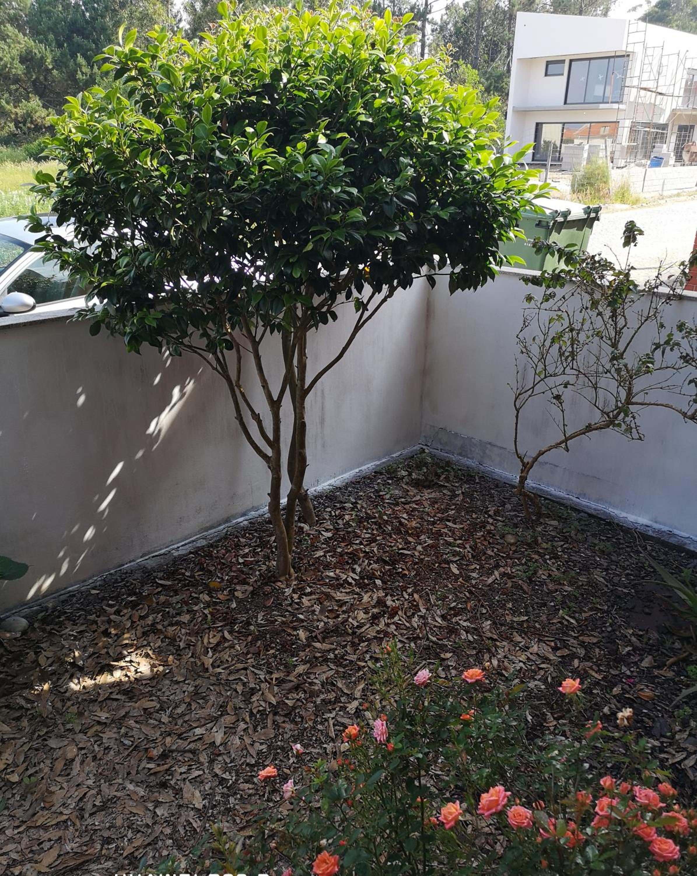 Apartment - Ground Floor - Photo 47
