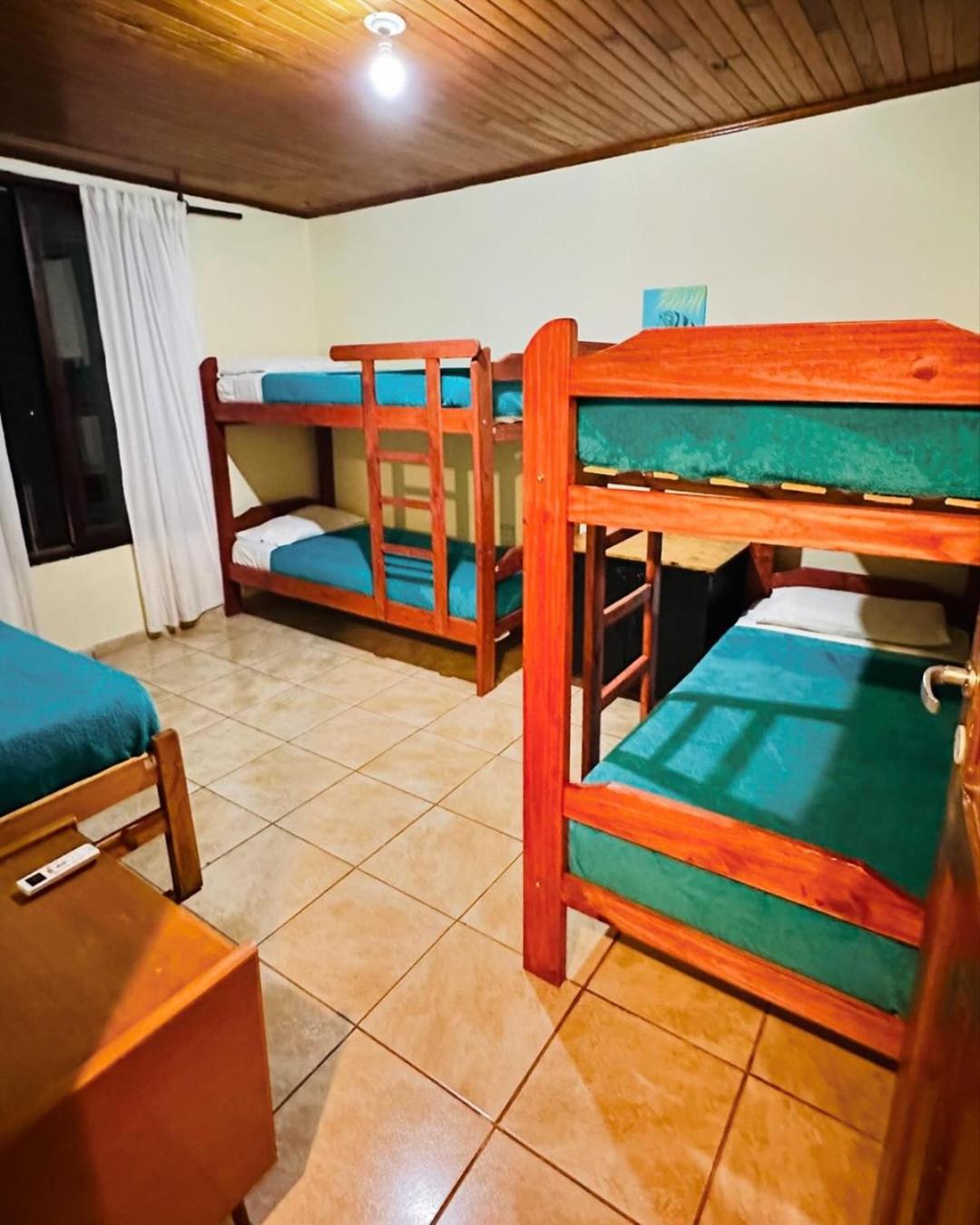 Bunk Bed in Mixed Dormitory Room photo 1