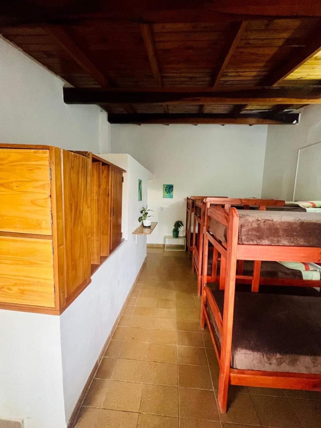 Single Bed in Female Dormitory Room photo 2