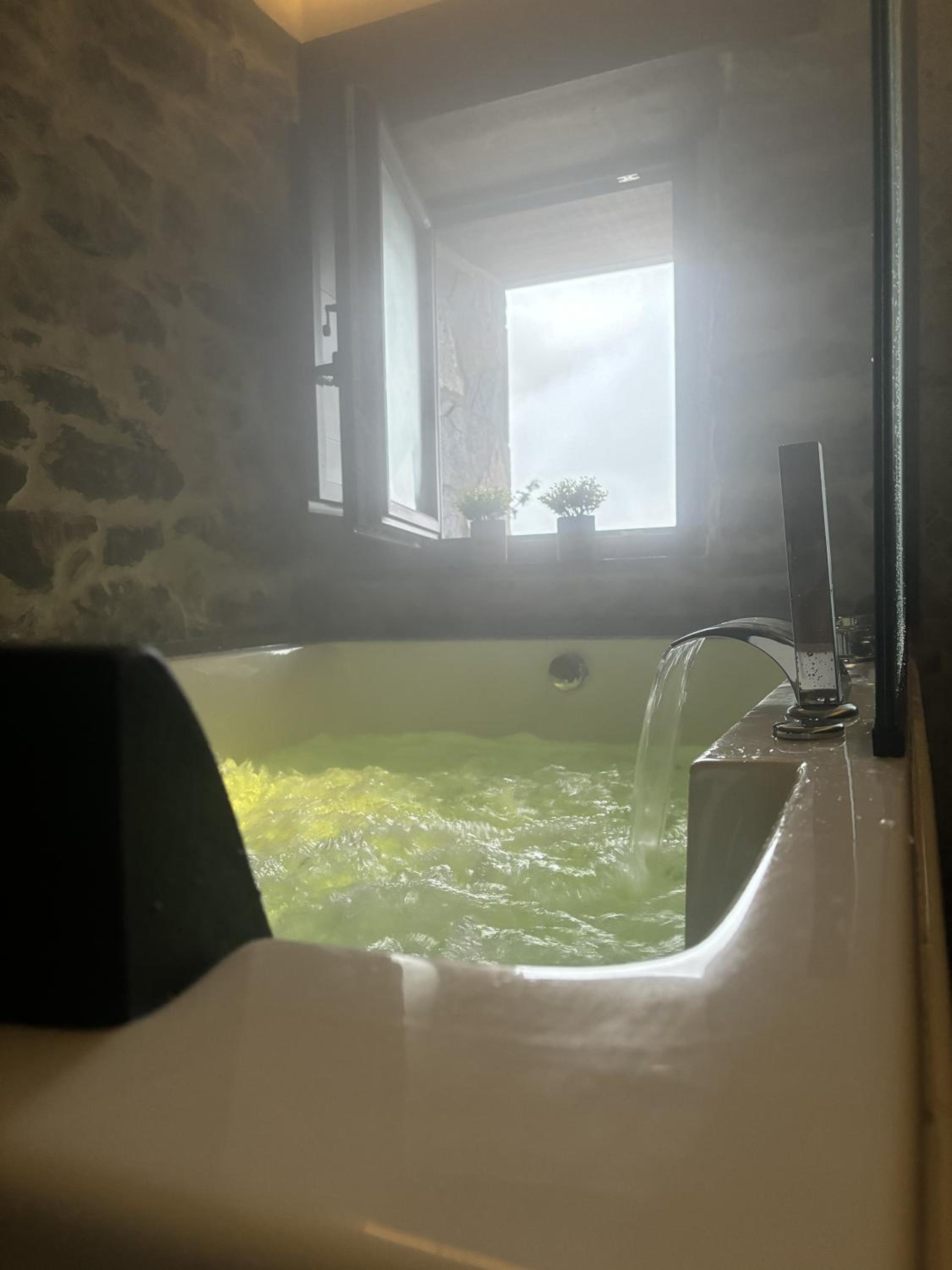 Deluxe Villa photo 2