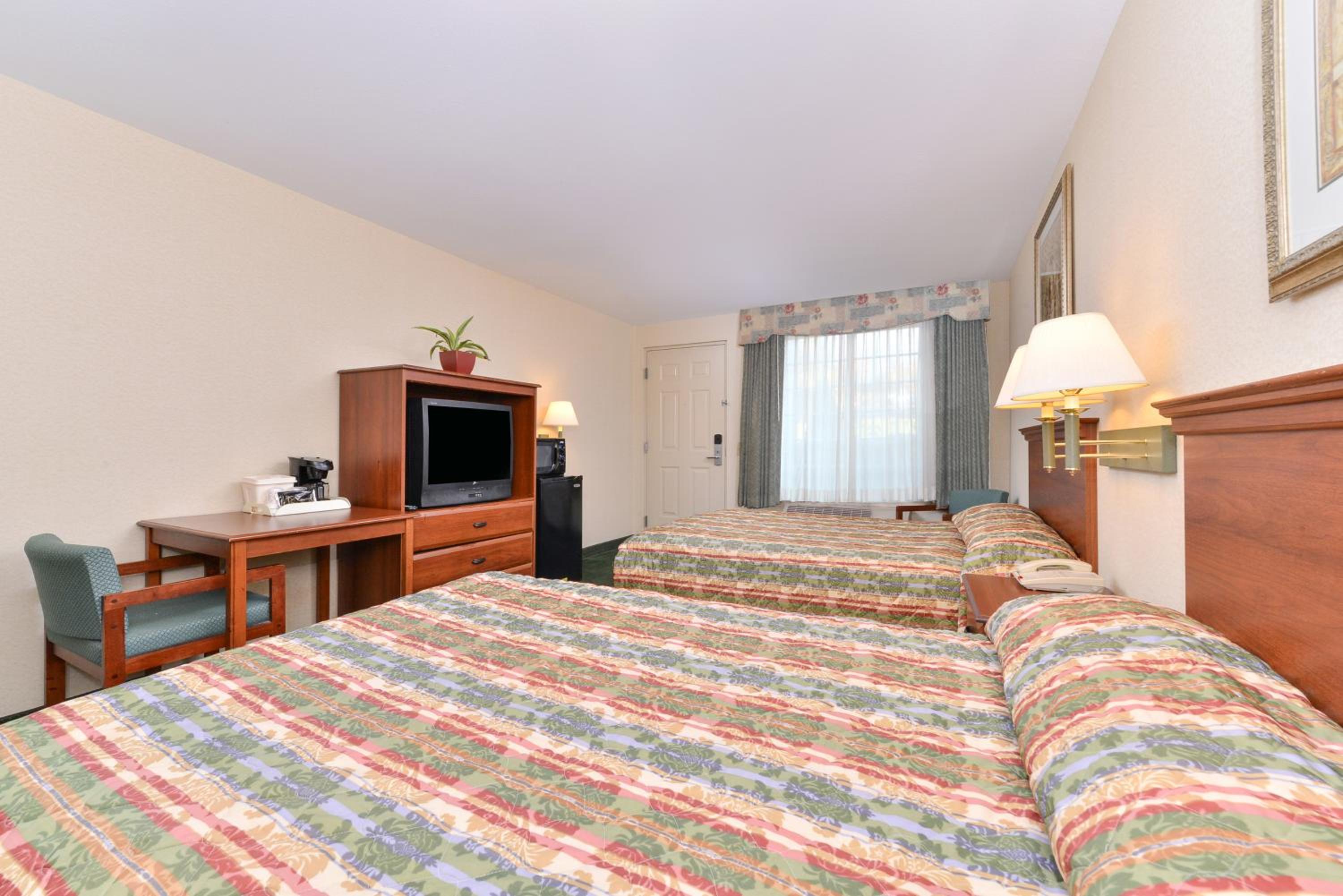 Room with Two Double Beds photo 1