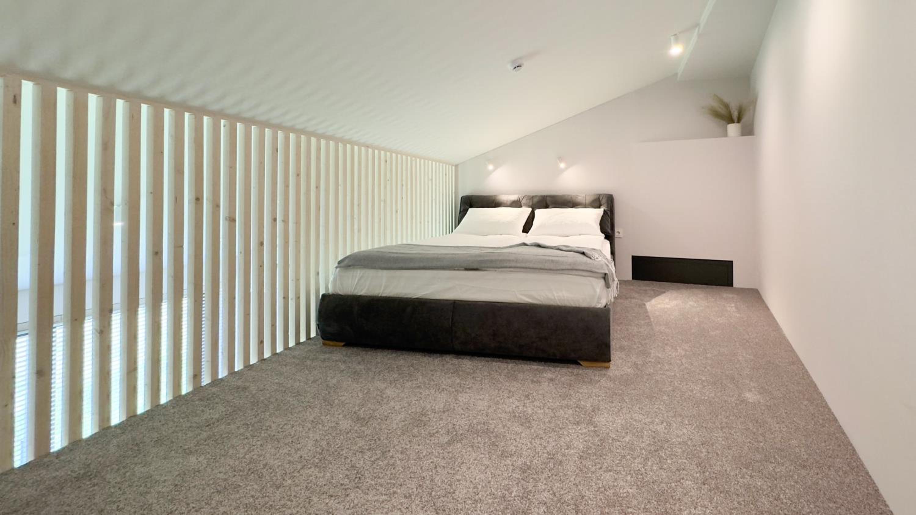 Loft photo 1