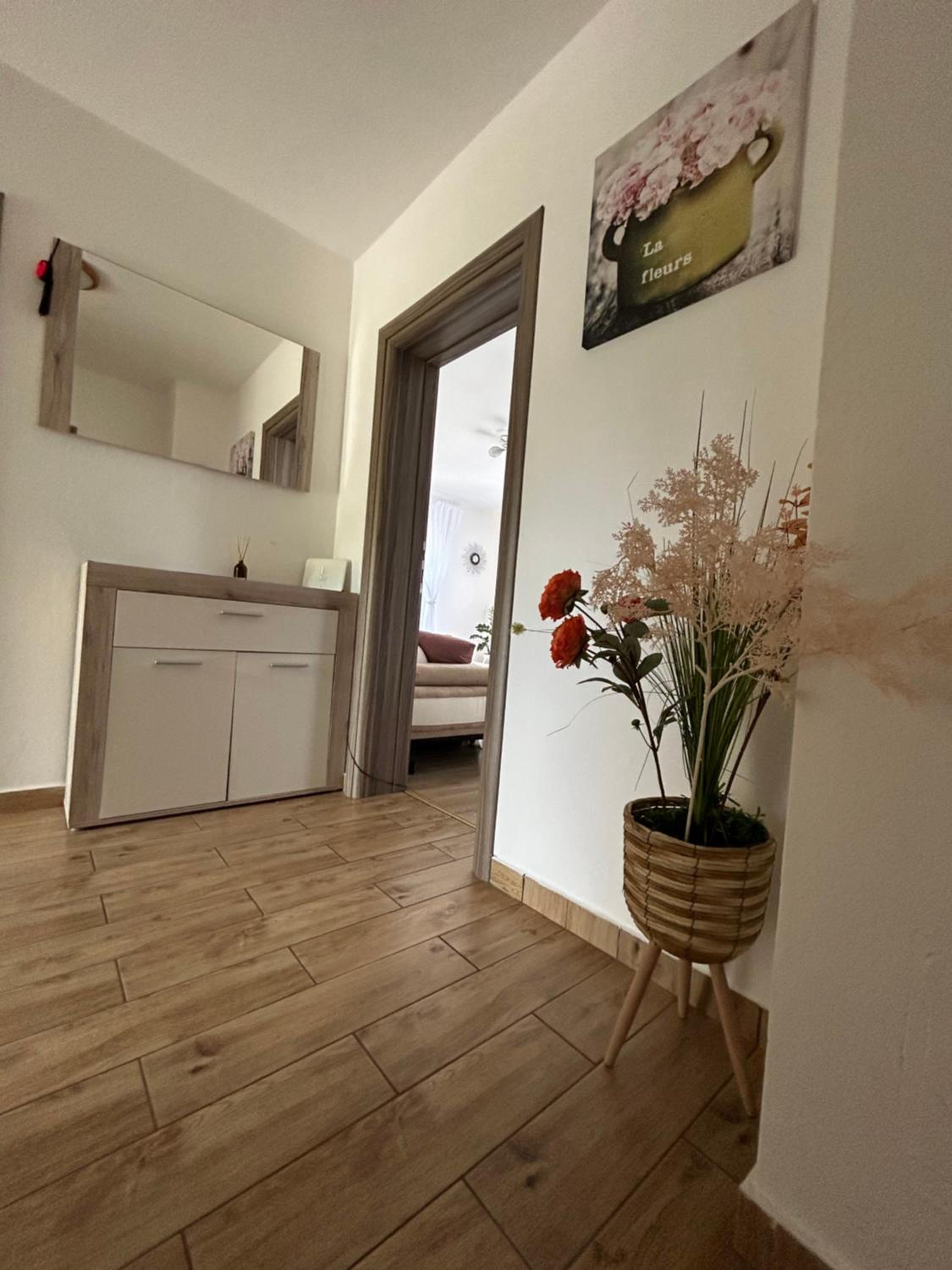 Duplex Apartment photo 3