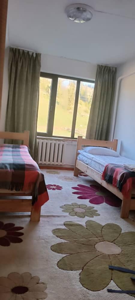 Twin Room photo 1
