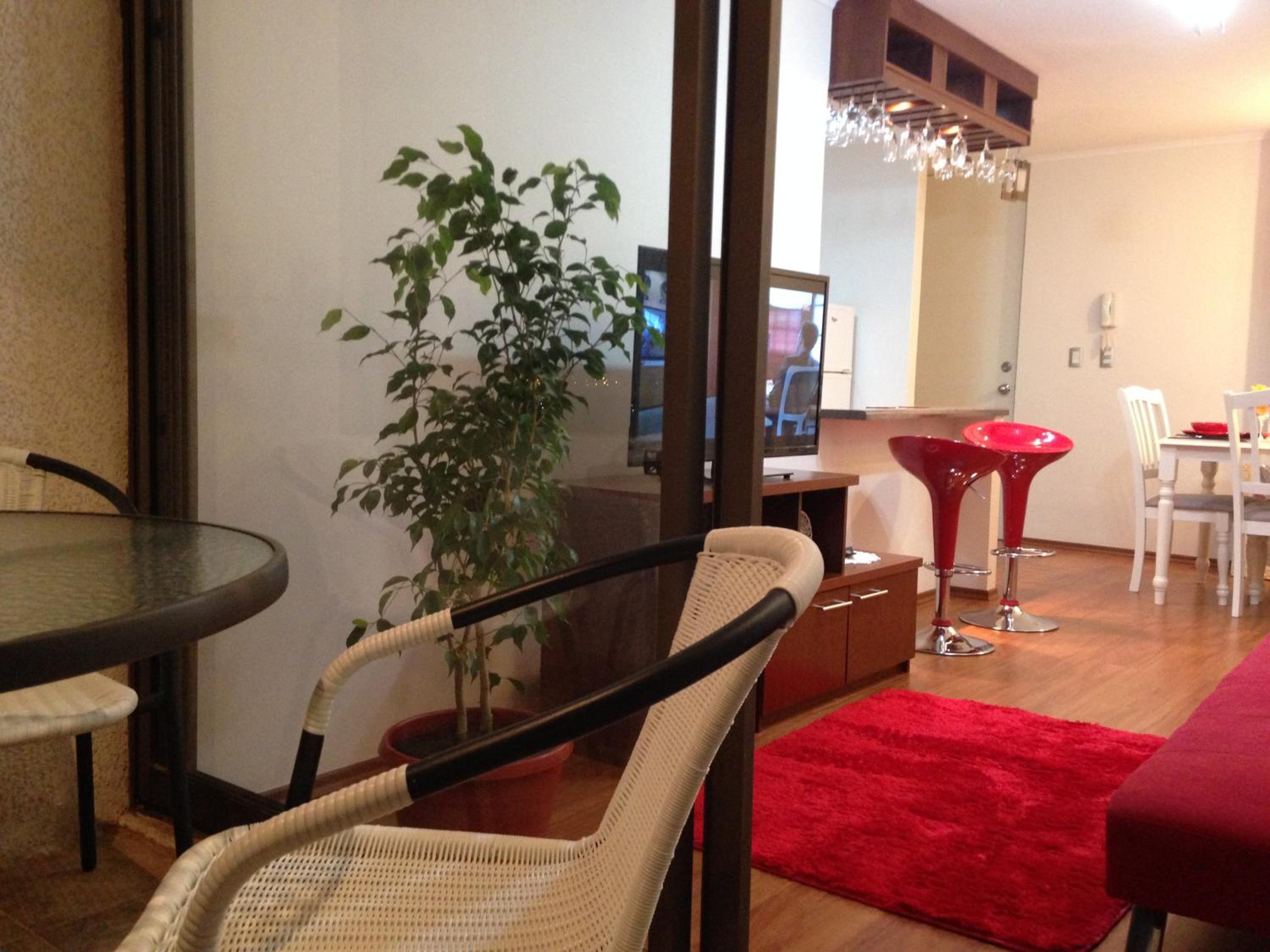 Apartment with Terrace photo 2