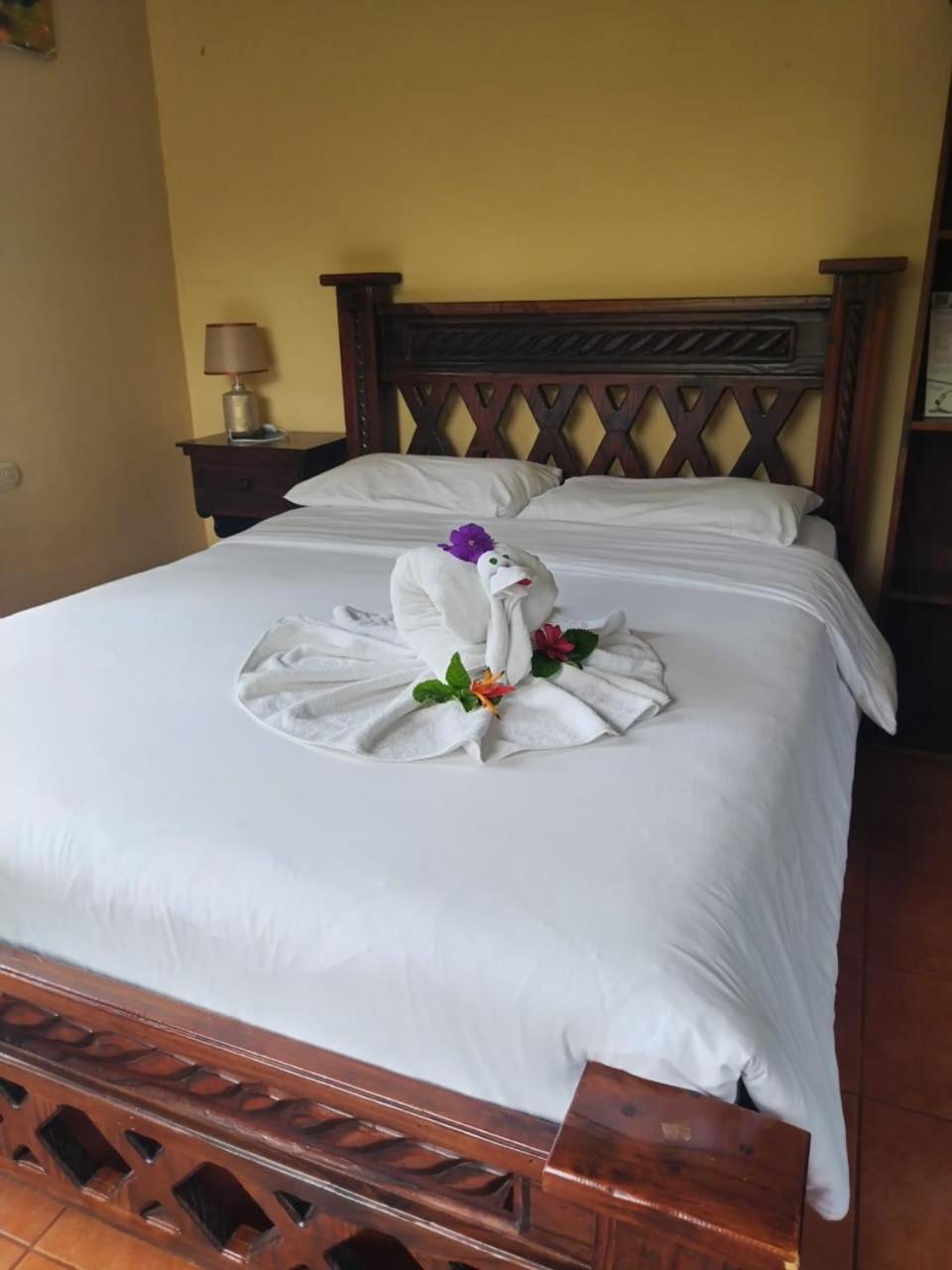 Superior Double Room photo 1