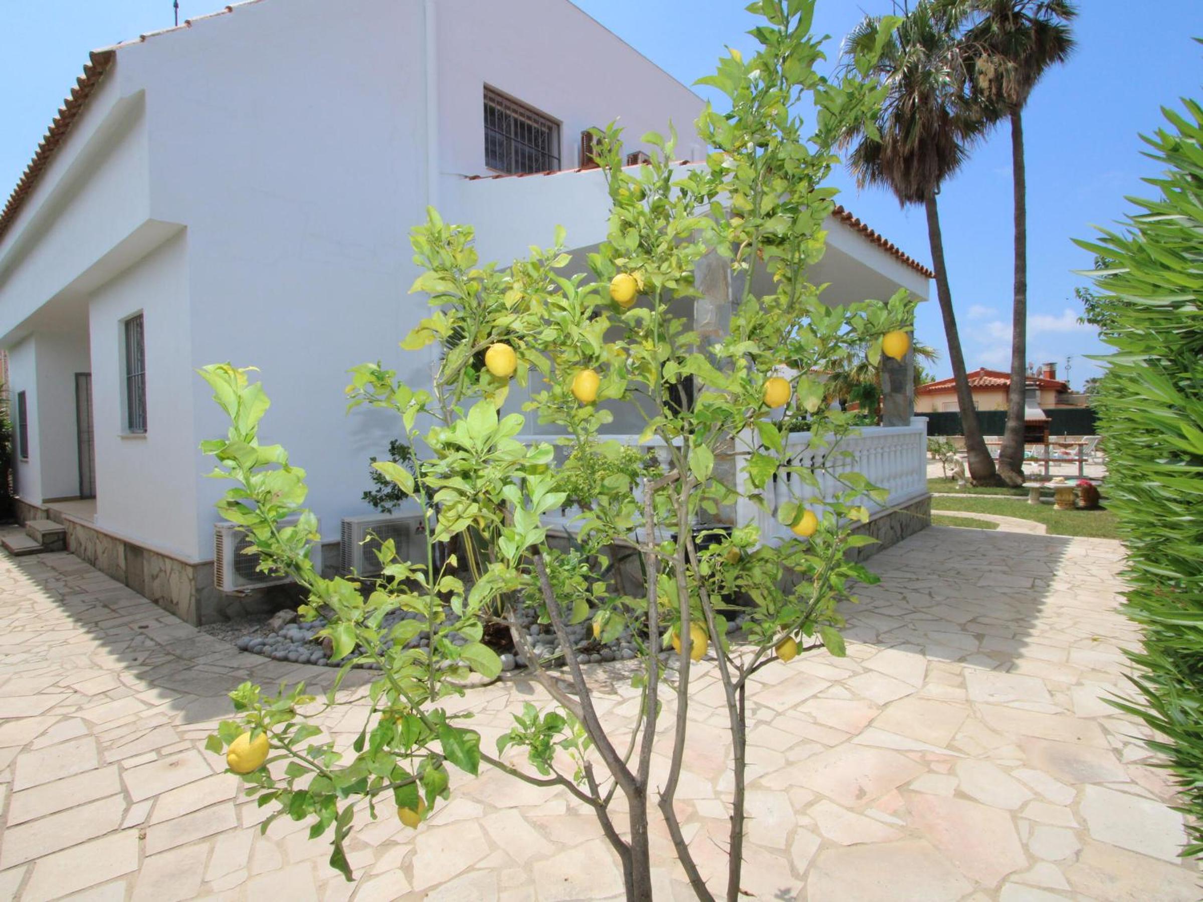 Vacation Home photo 3