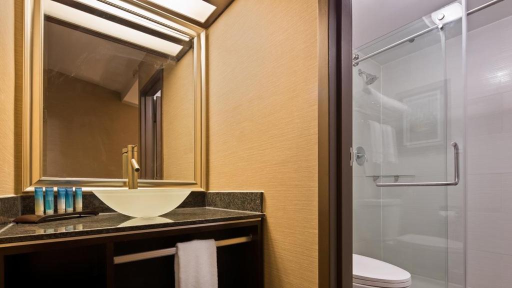 Radisson Hotel Southfield-Detroit, 사진 3