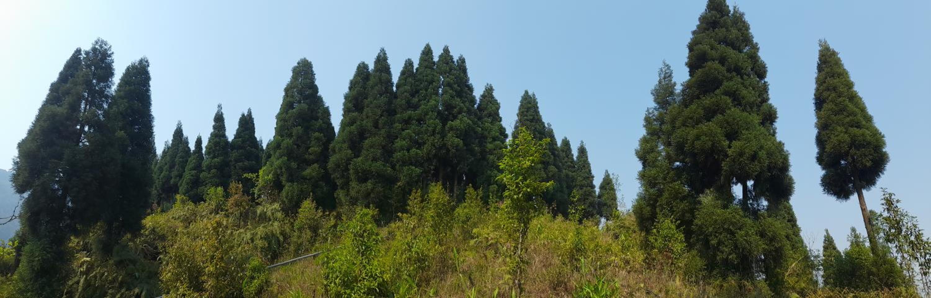 Double Room with Mountain View photo 3