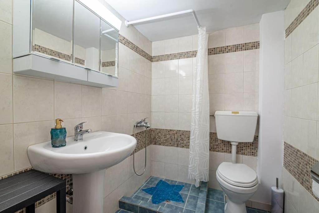 One-Bedroom Apartment photo 3