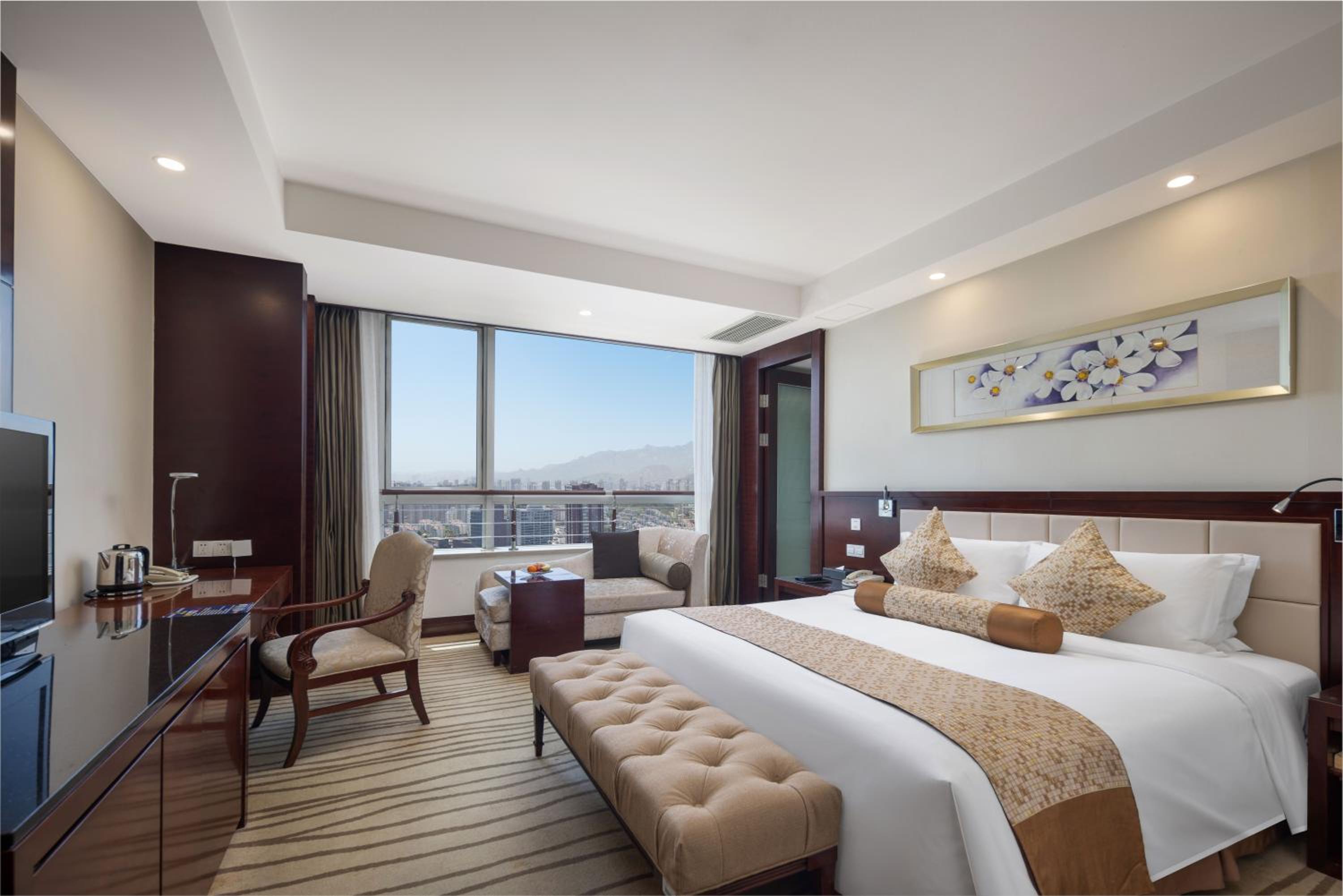 Superior Single Room