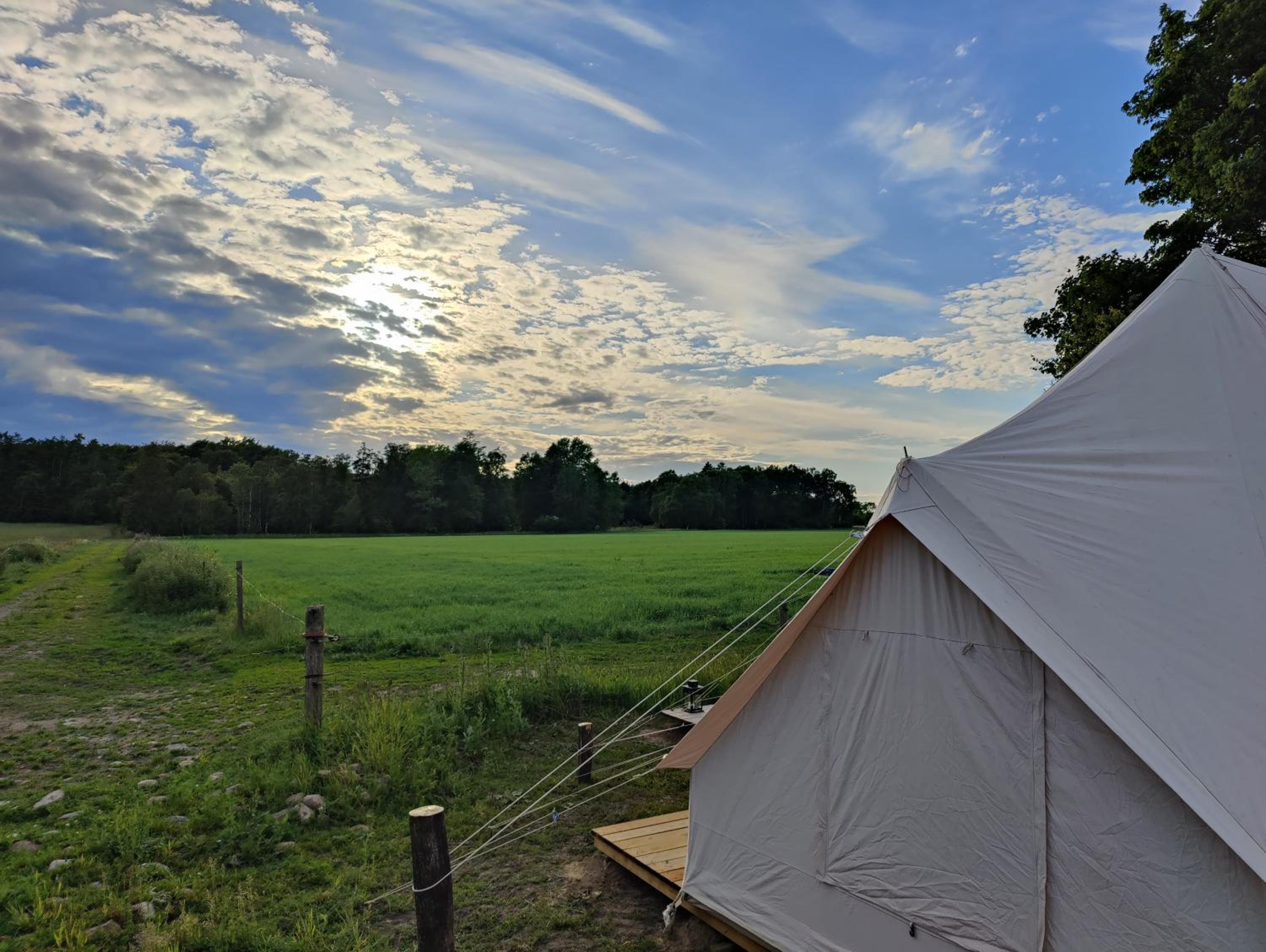 Deluxe Tent Gøgen photo 3