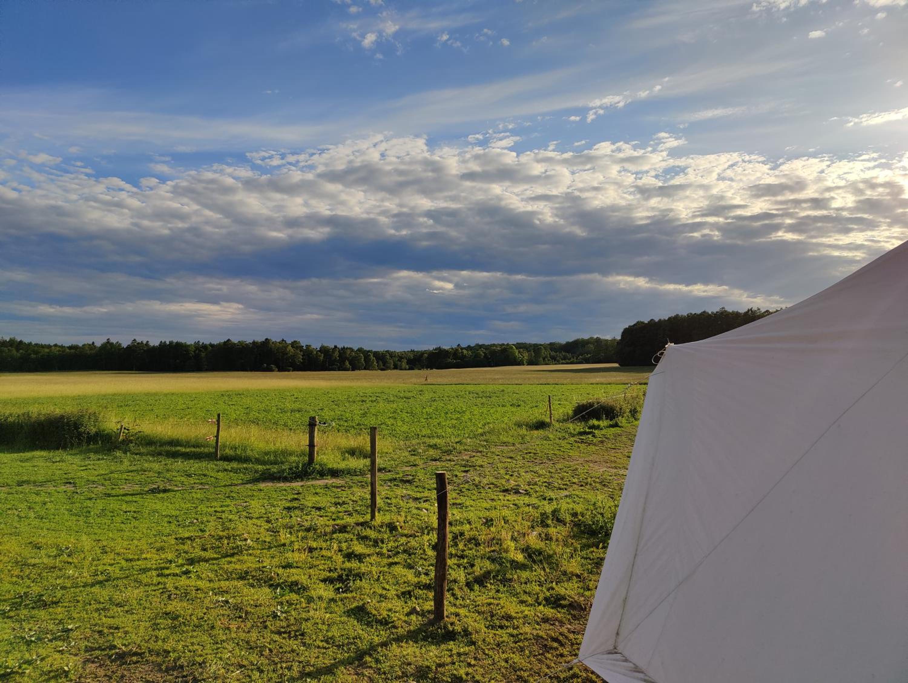 Deluxe Tent Gøgen photo 3