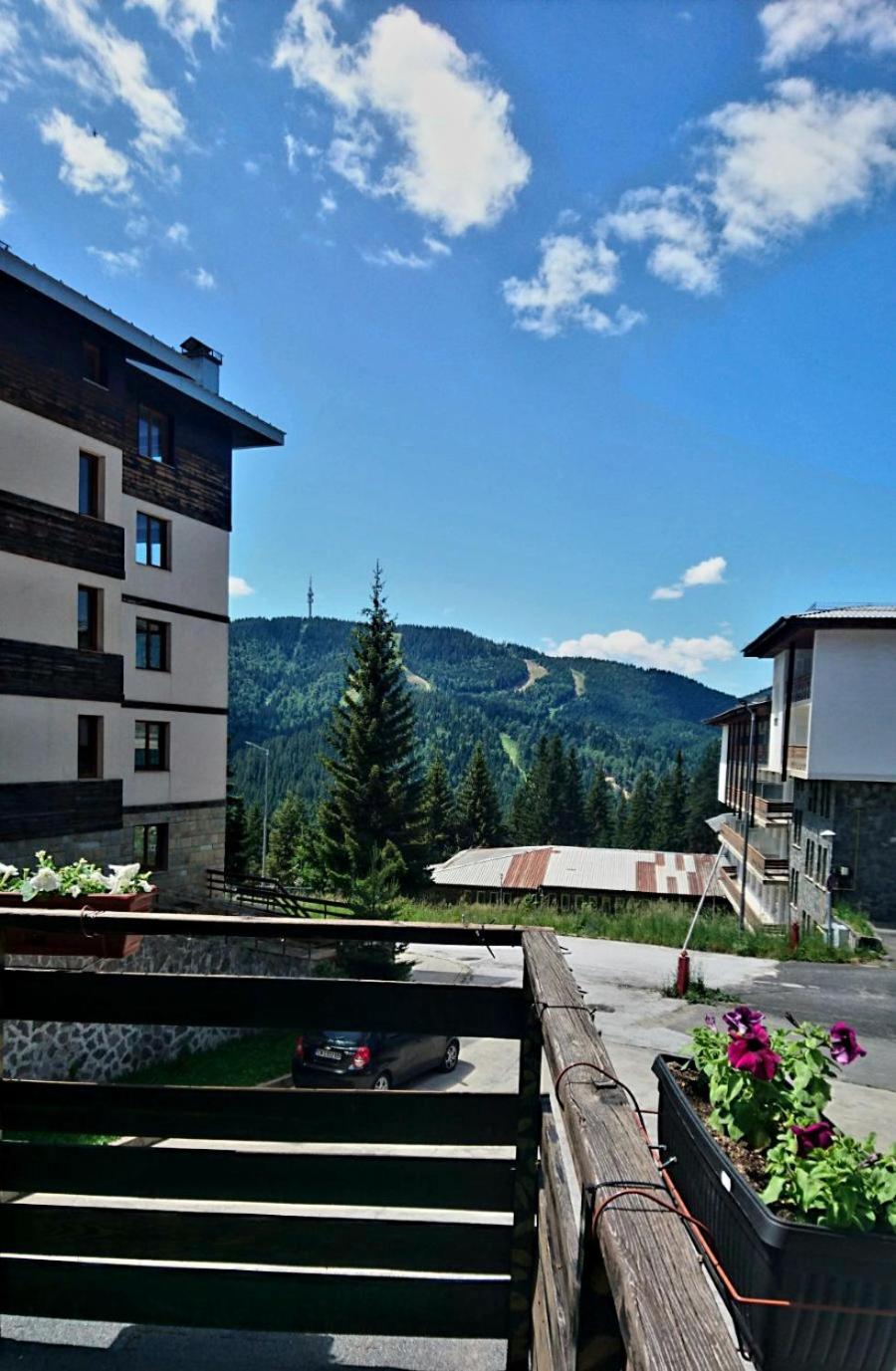 Apartment with View and Balcony photo 2