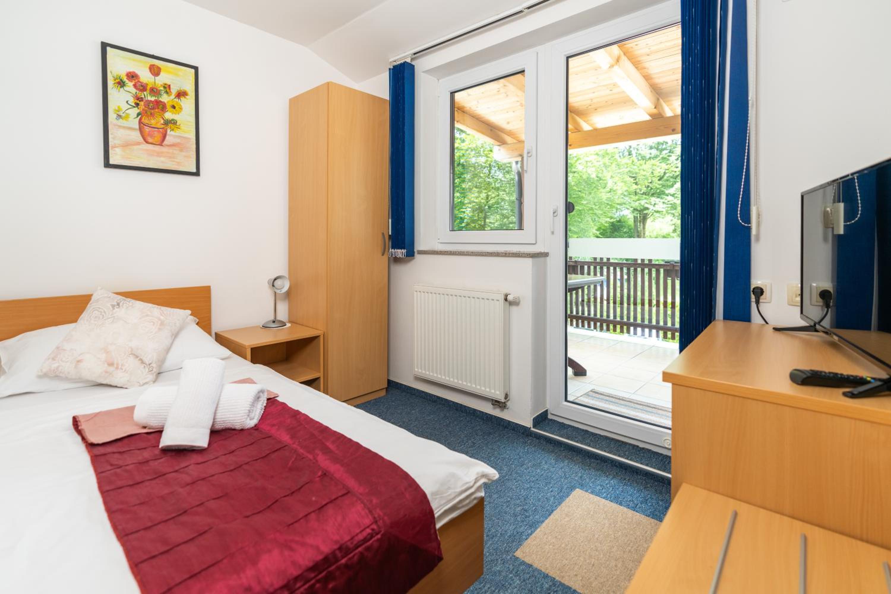 Single Room with Mountain View