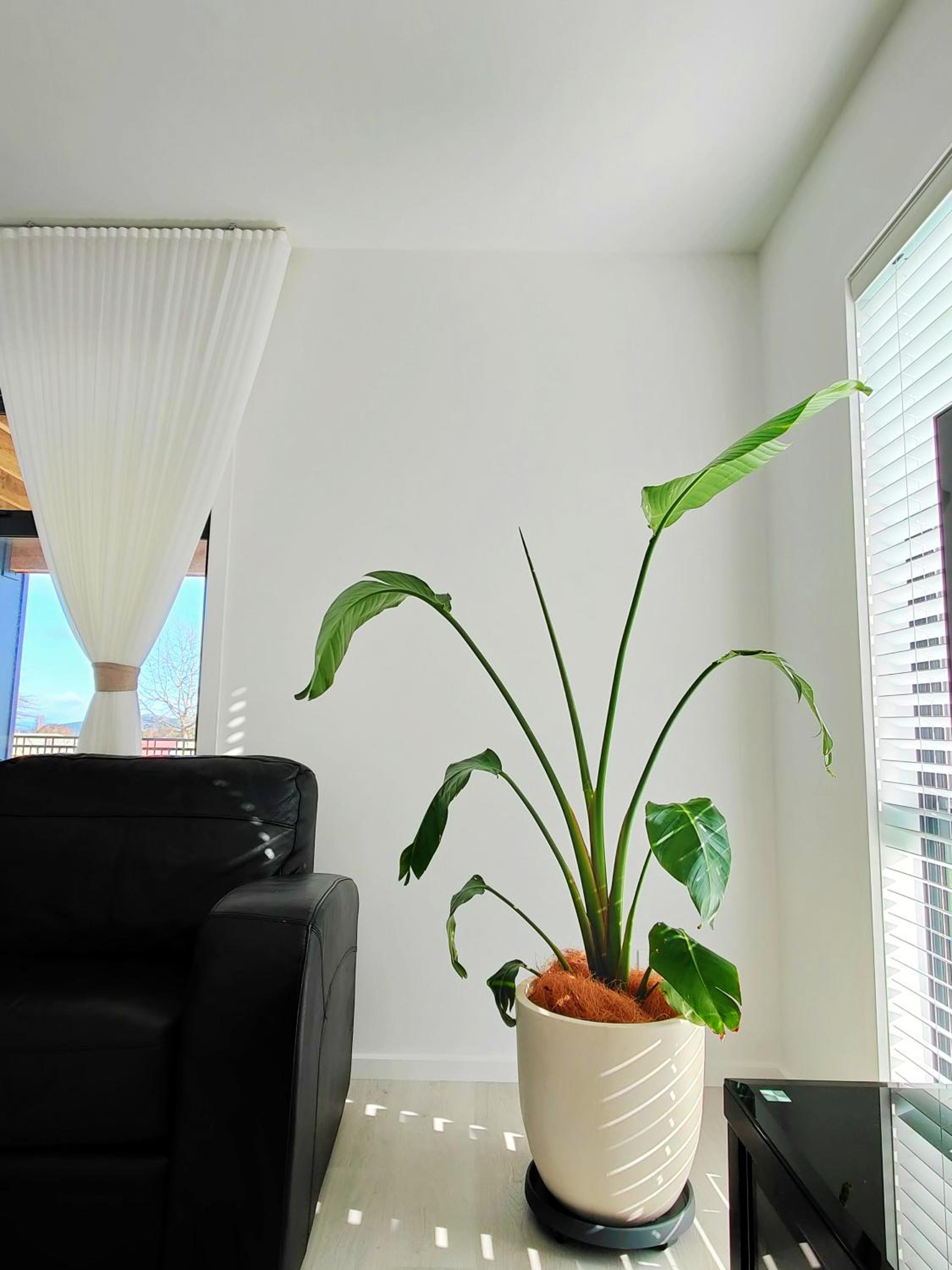 Villa photo 3