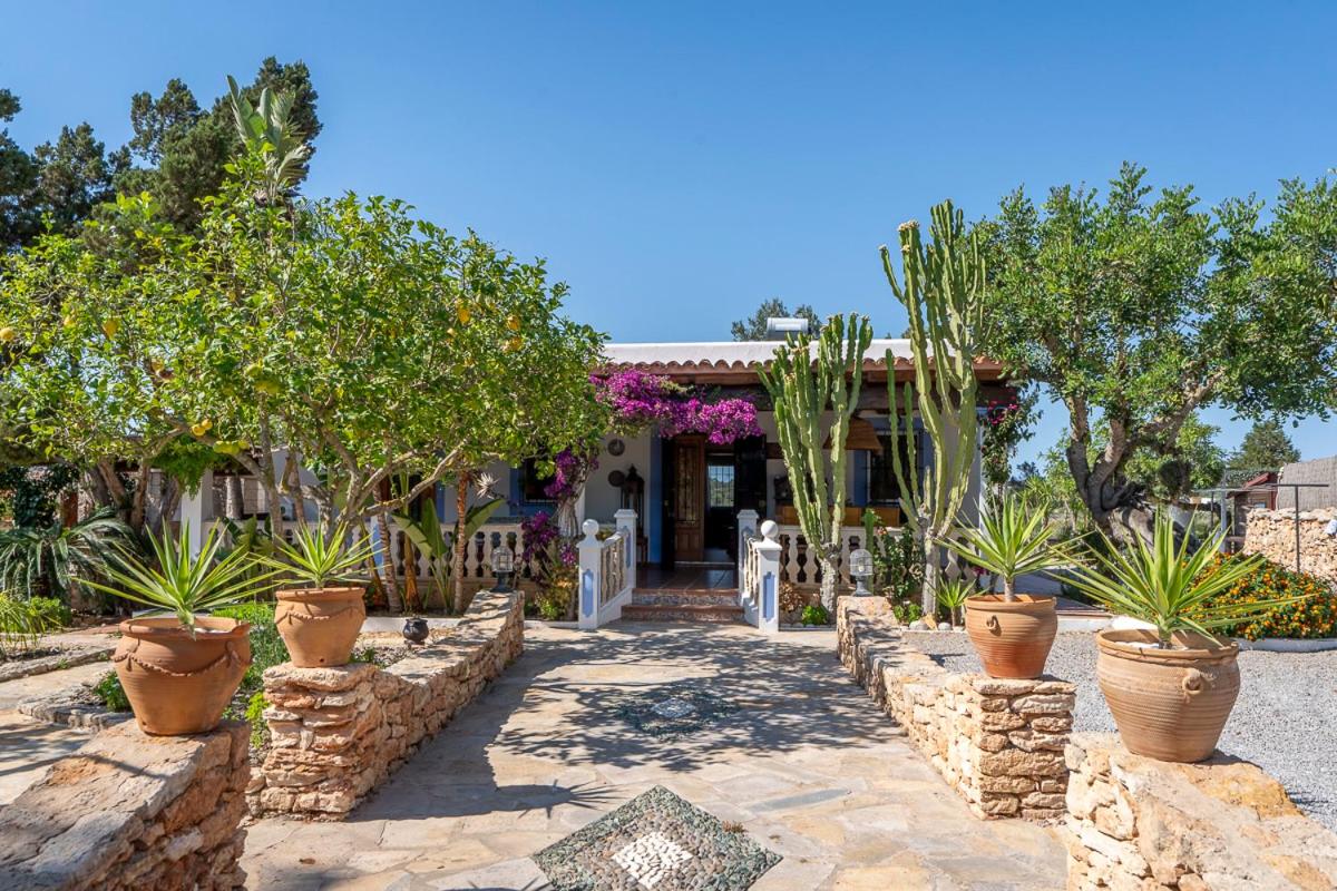 Five-Bedroom Villa photo 3
