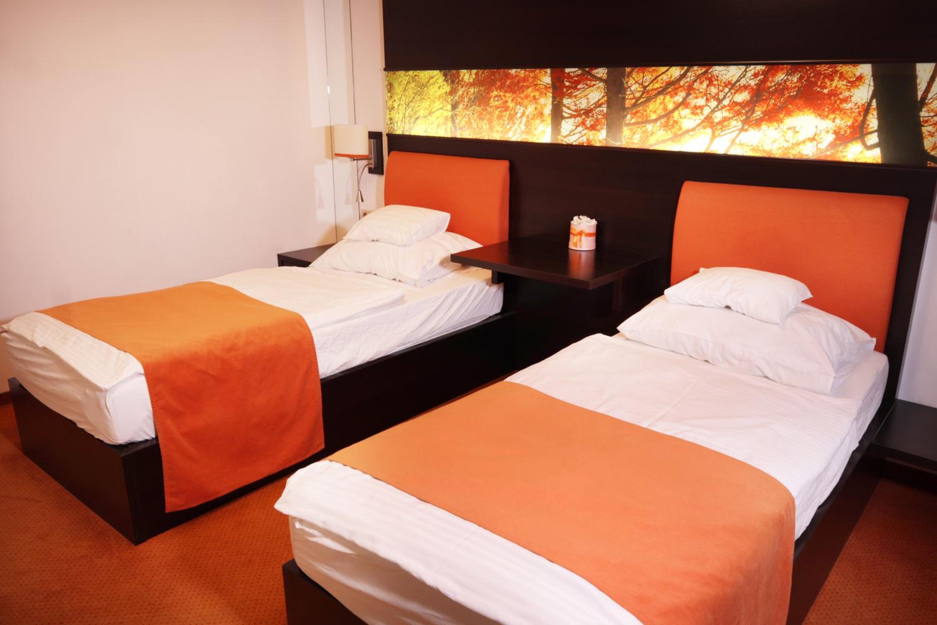 Standard Twin Room photo 1