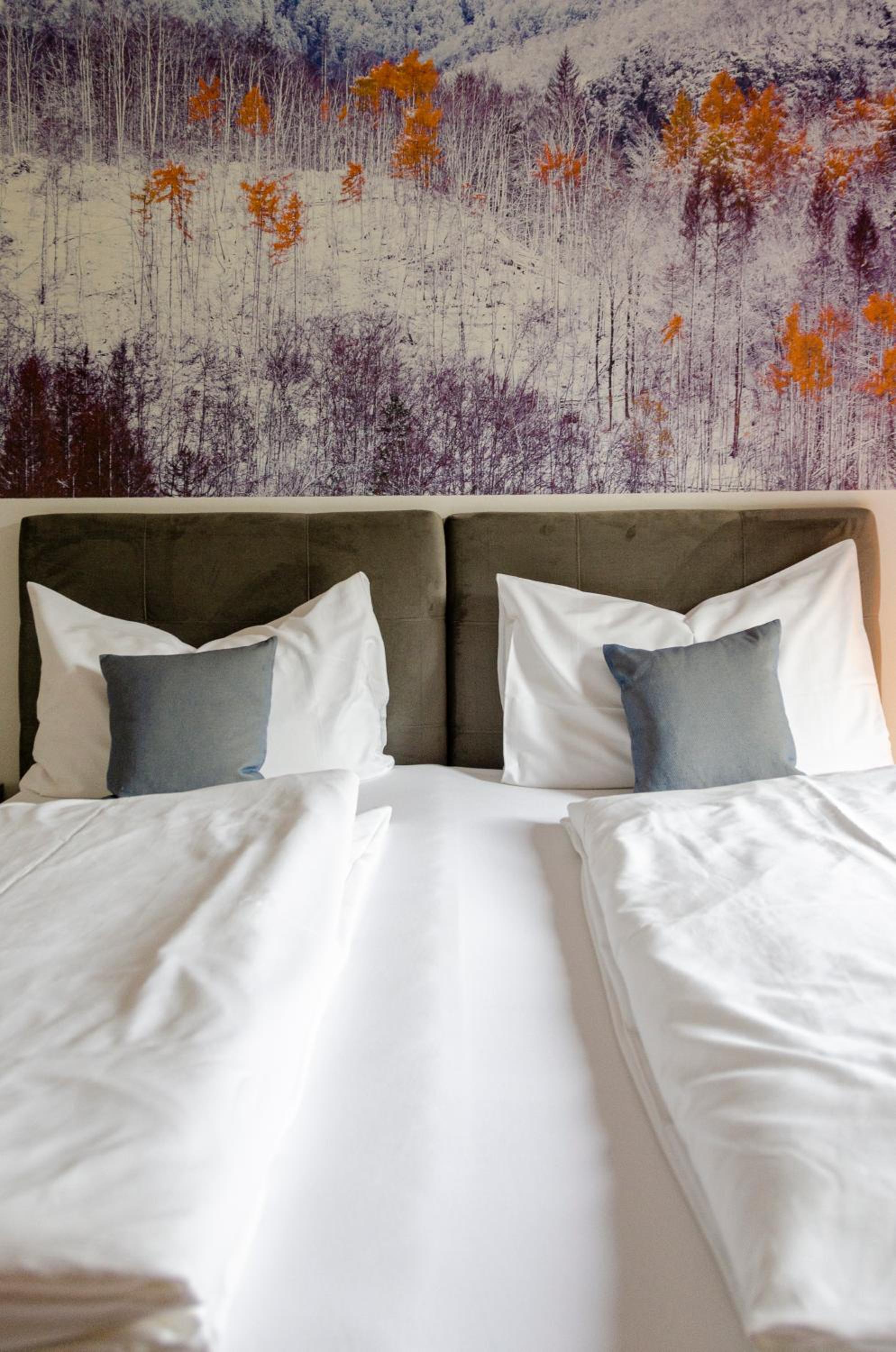 Superior Double or Twin Room with Mountain View photo 1