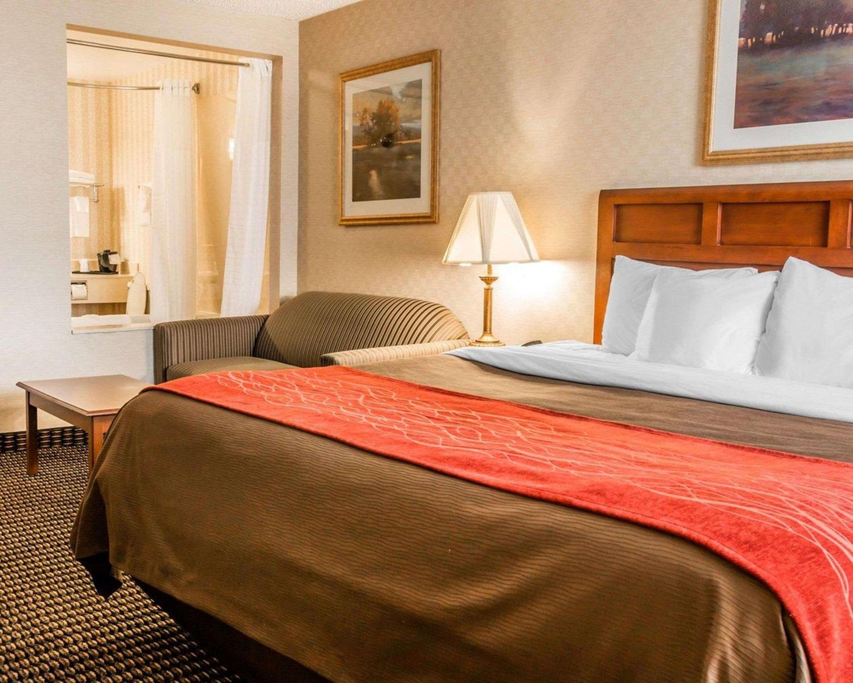 Premium King Room photo 1